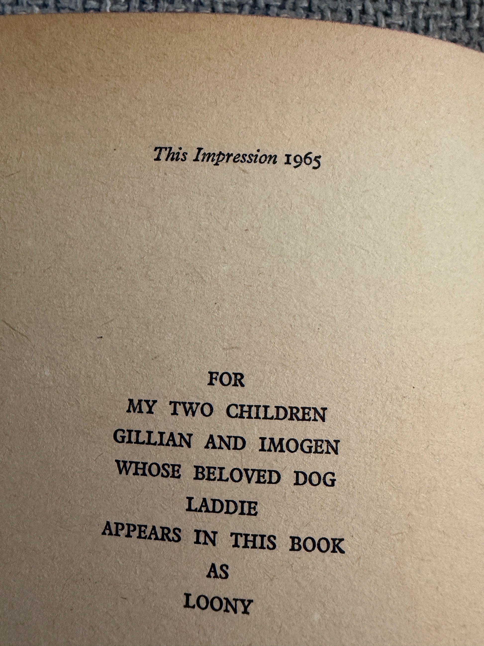 1965 The Rockingdown Mystery - Enid Blyton (Gilbert Dunlop illust) Collins (Junior Story Books) - Honeyburn Books (UK)
