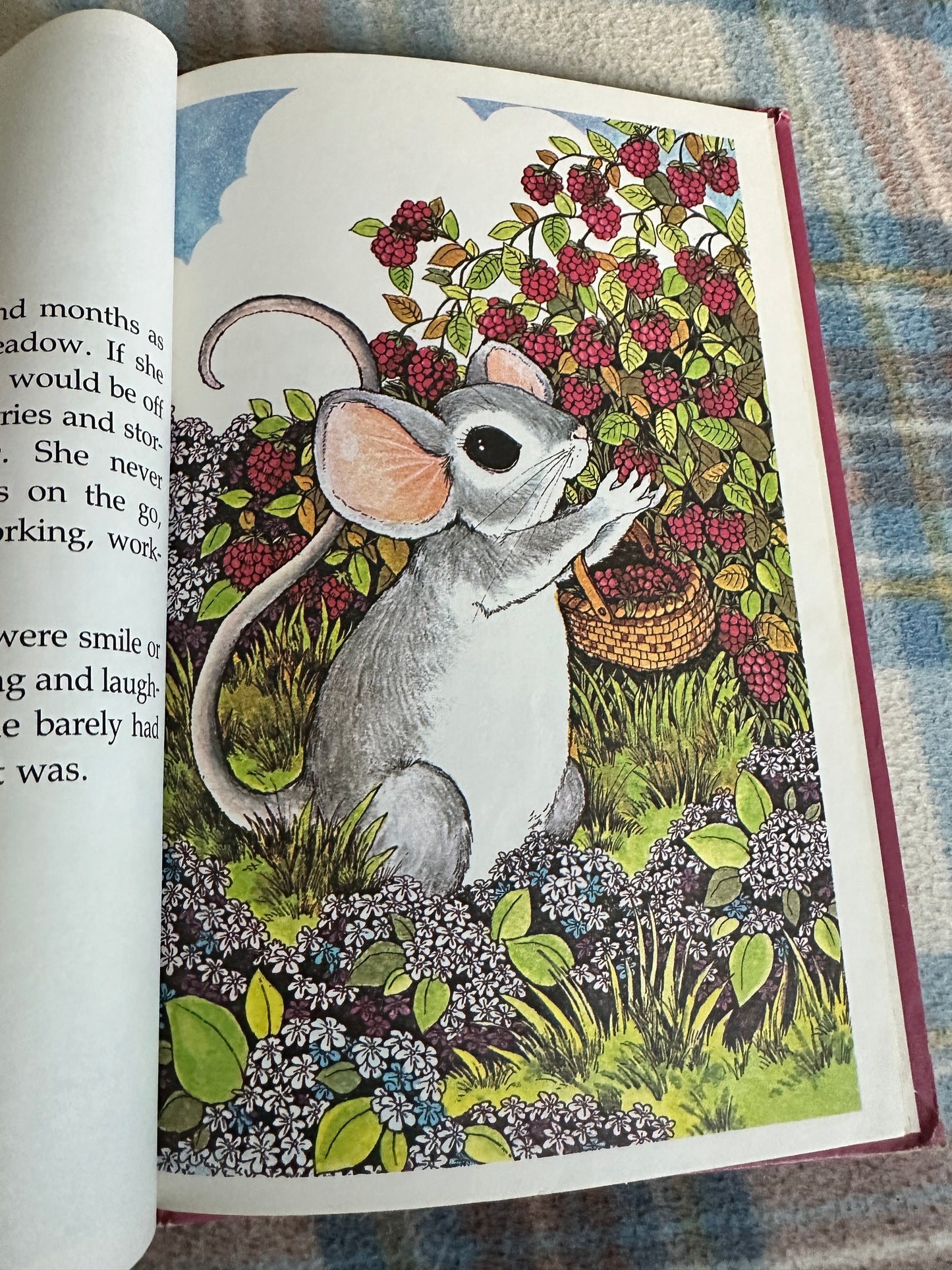 1978 Little Mouse On The Prairie - Stephen Cosgrove(Robin James illustration) Groliers Enterprise