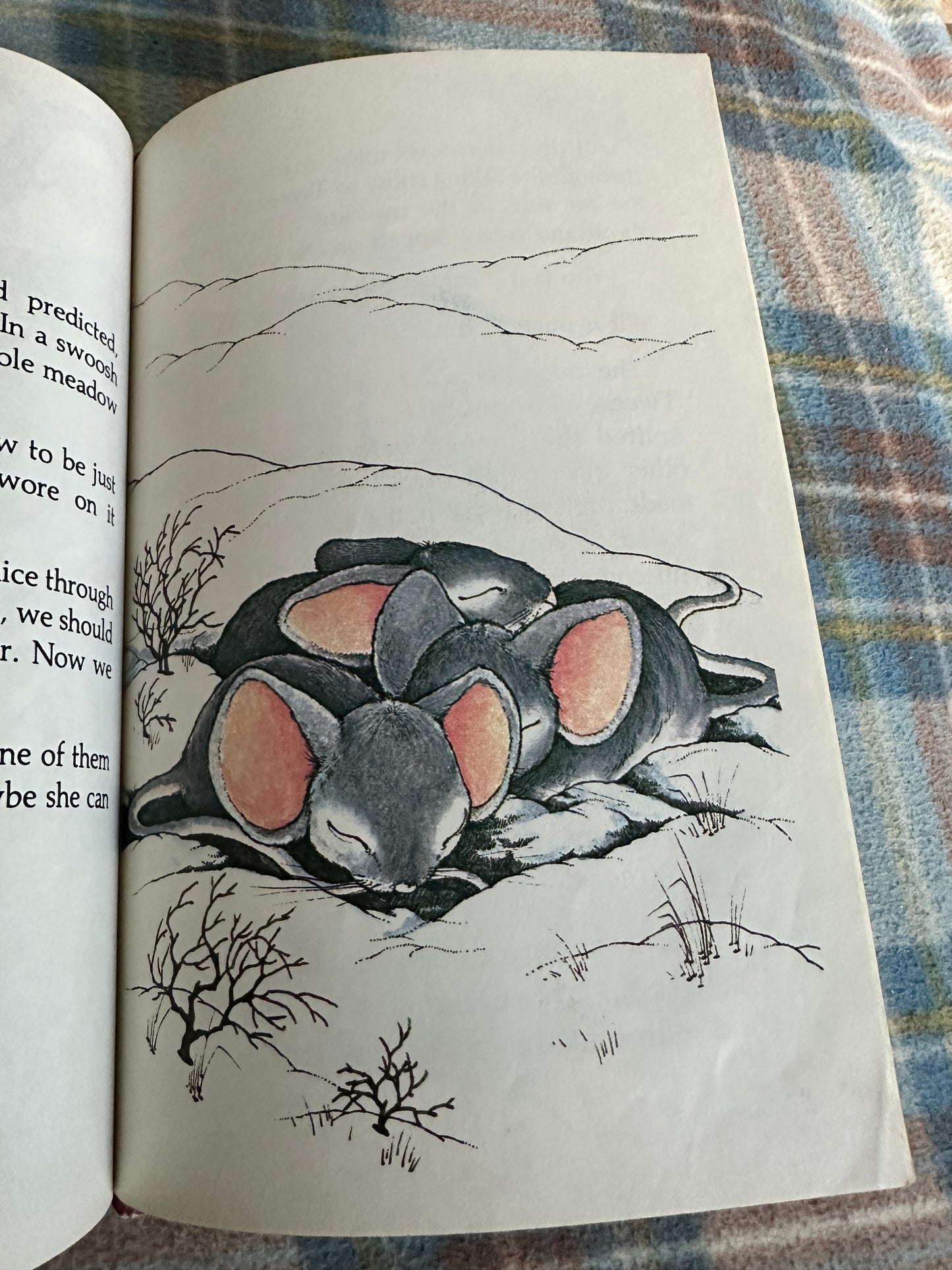 1978 Little Mouse On The Prairie - Stephen Cosgrove(Robin James illustration) Groliers Enterprise