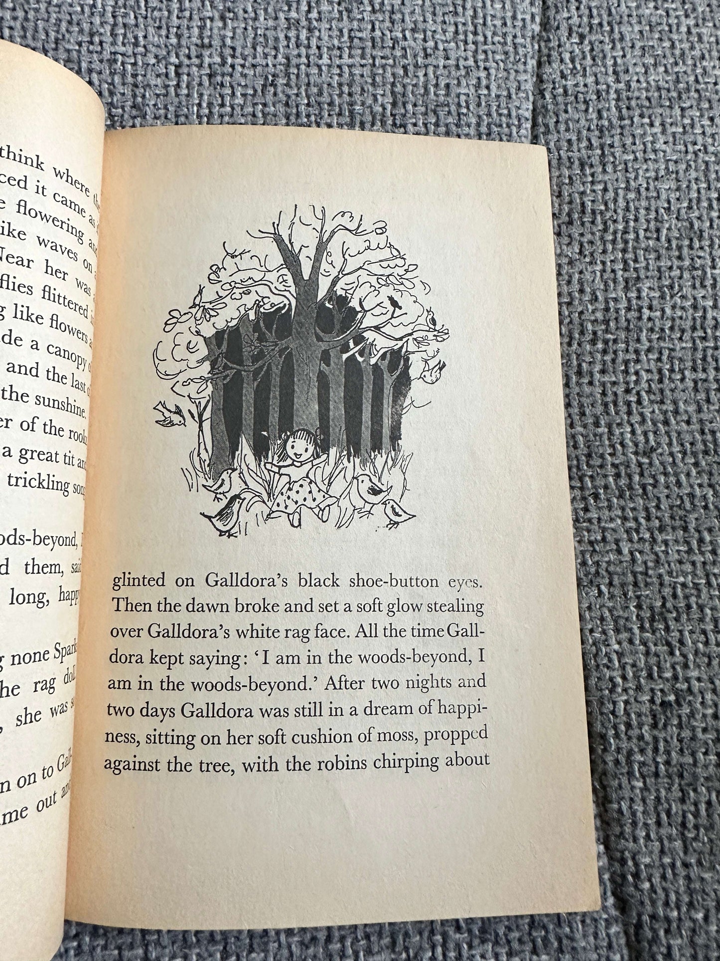 1970 The New Adventures Of Galldora - Modwena Sedgwick (Diana John Illust) Young Puffin Book