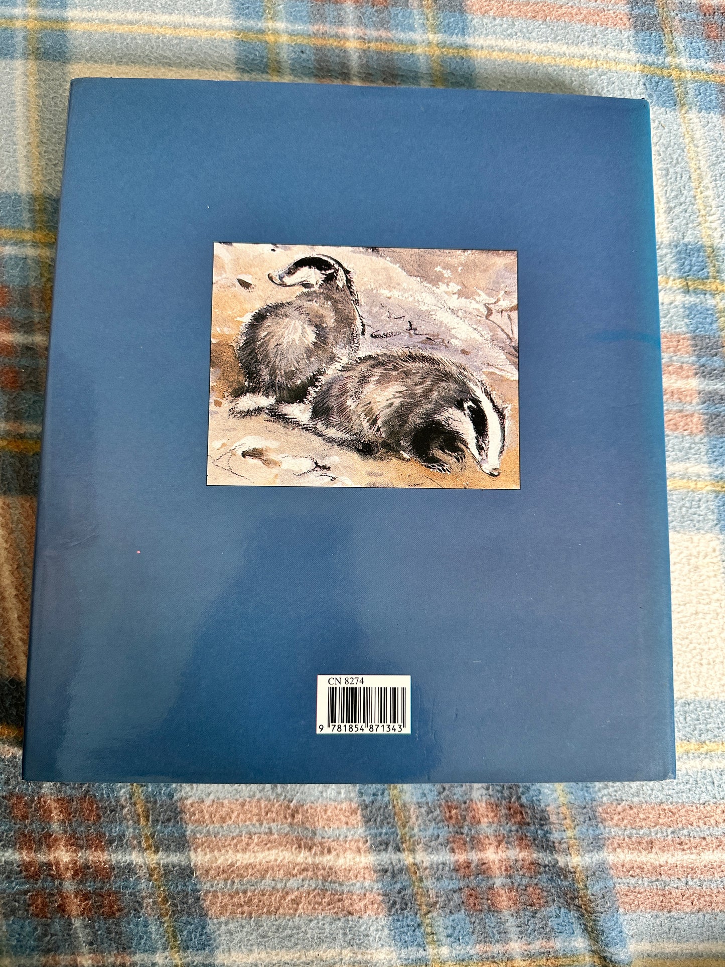 1992*1st* Eileen Soper’s Badgers - Intro by Duff Hart-Davis(BCA Publishers)