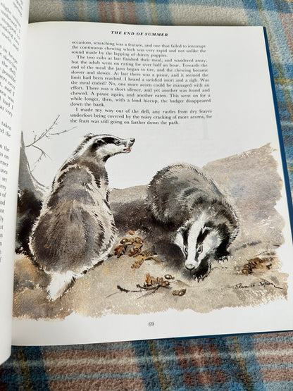 1992*1st* Eileen Soper’s Badgers - Intro by Duff Hart-Davis(BCA Publishers)