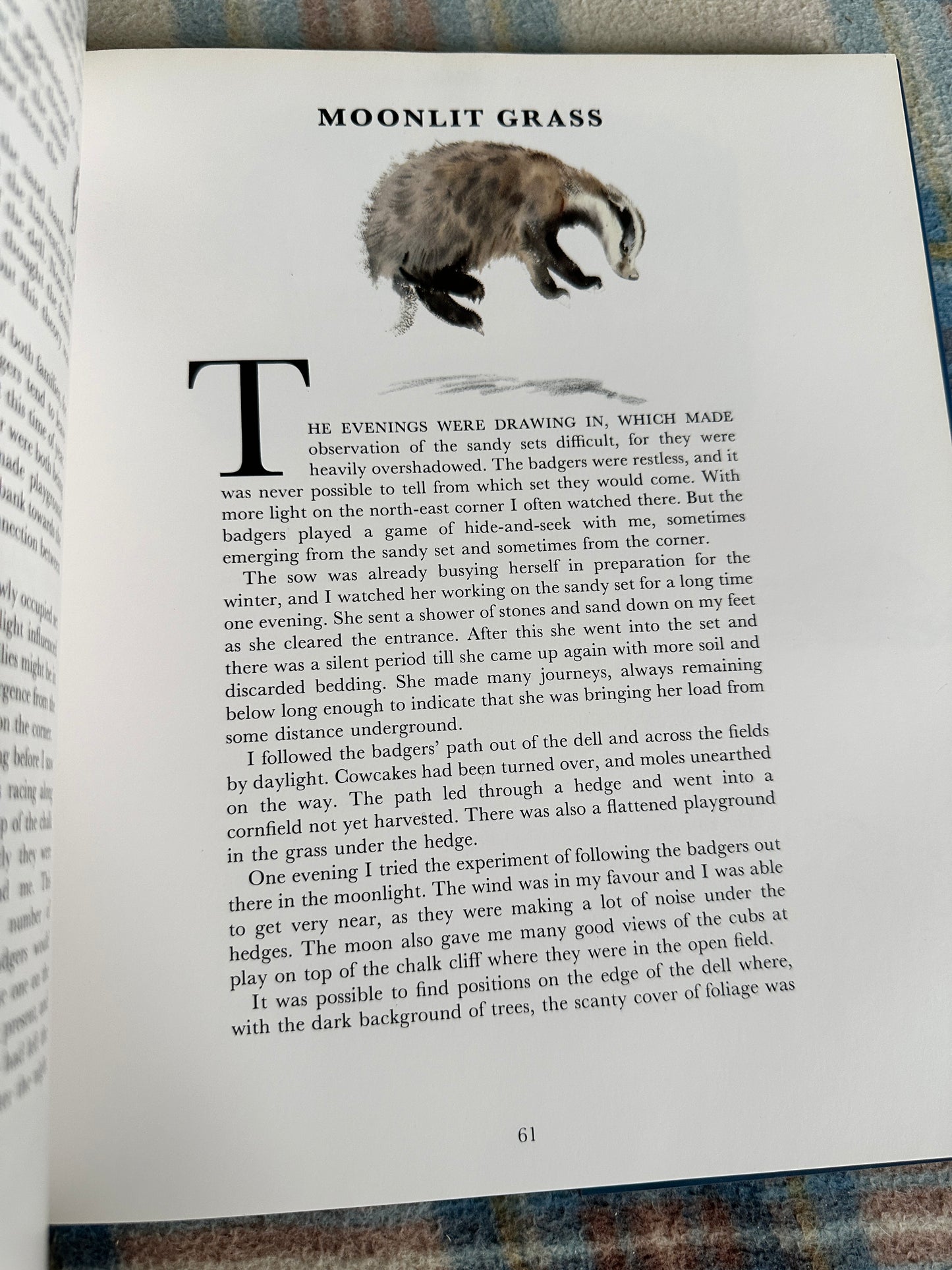 1992*1st* Eileen Soper’s Badgers - Intro by Duff Hart-Davis(BCA Publishers)