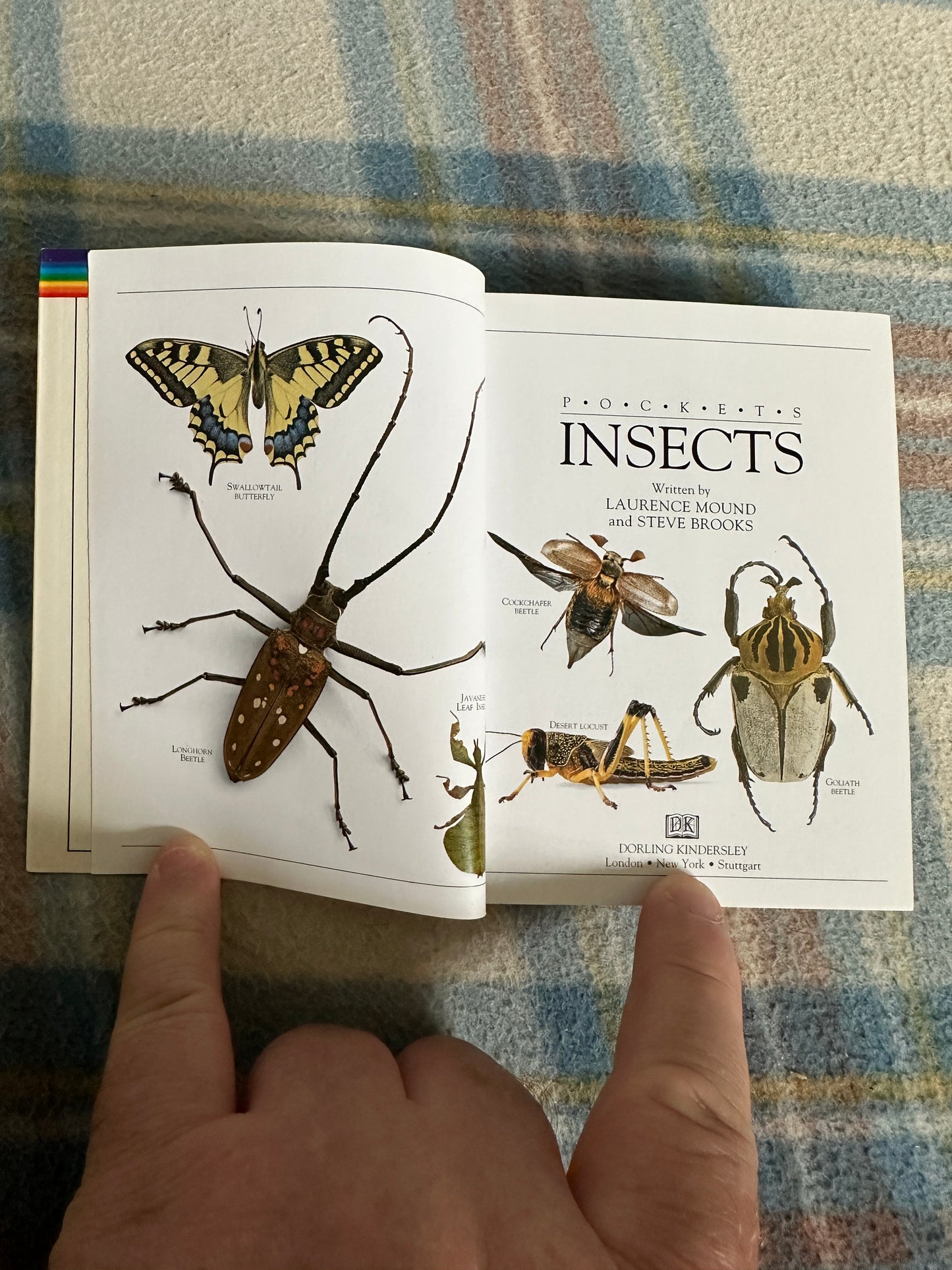 1995 Insects(Pockets) Dorling Kindersley