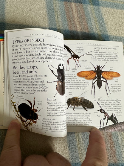 1995 Insects(Pockets) Dorling Kindersley