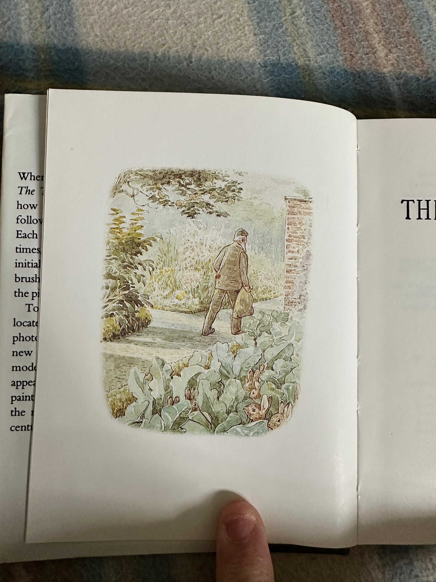 1987 The Tale Of The Flopsy Bunnies - Beatrix Potter(Frederick Warne & Co Ltd.