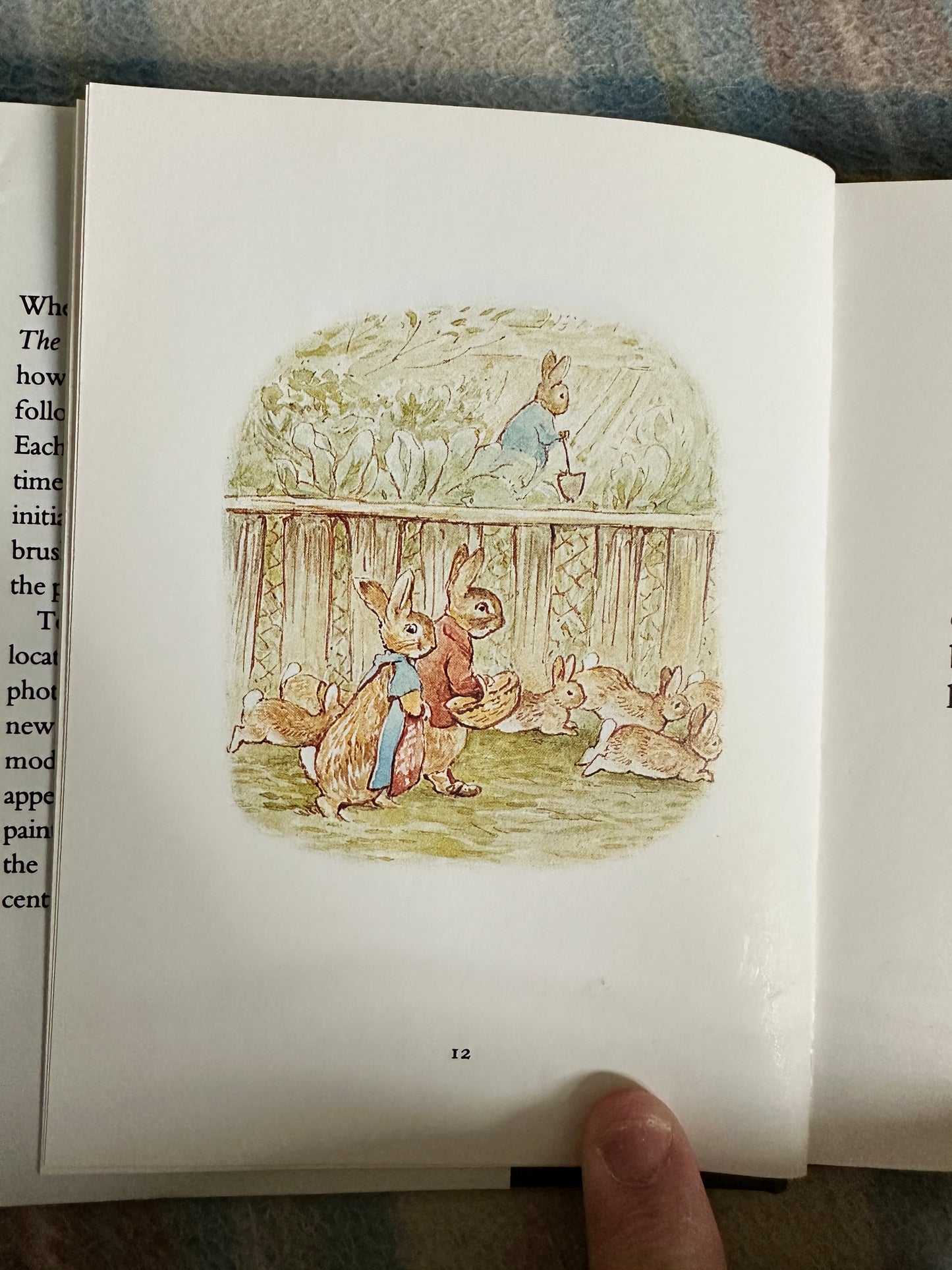 1987 The Tale Of The Flopsy Bunnies - Beatrix Potter(Frederick Warne & Co Ltd.