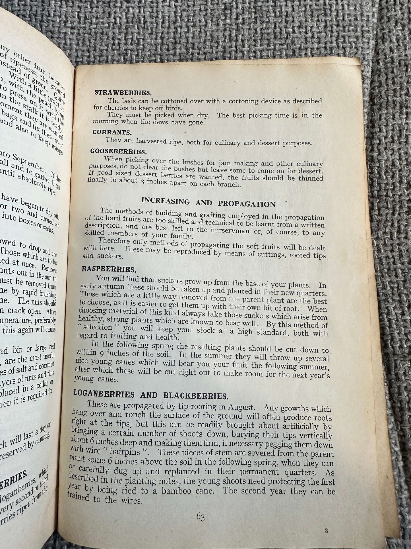 1952 The Country Housewife’s Handbook (West Kent Federation Of Women’s Institutes)