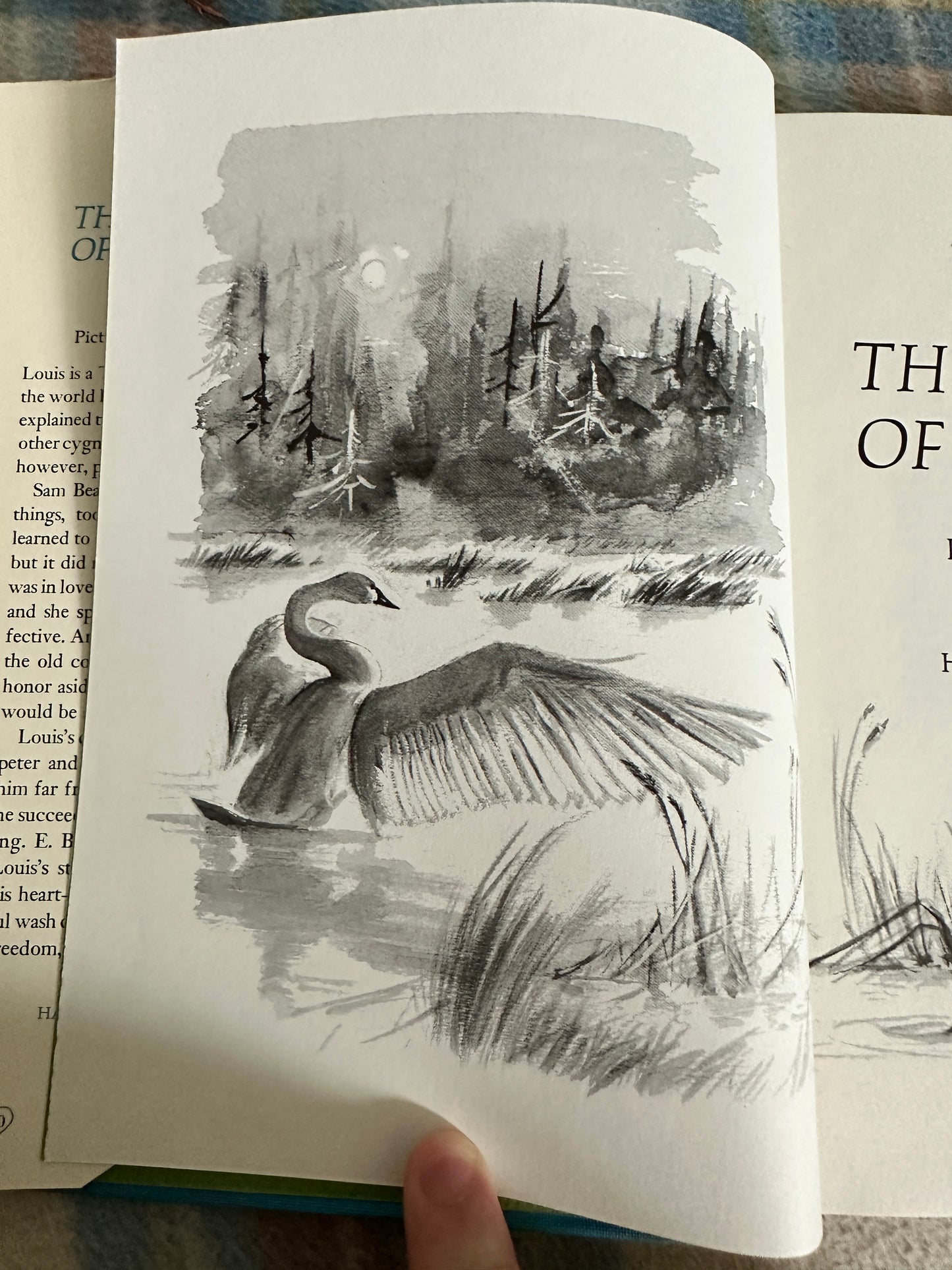 1970*1st* Trumpet Of The Swan - E. B. White(Harper & Row)