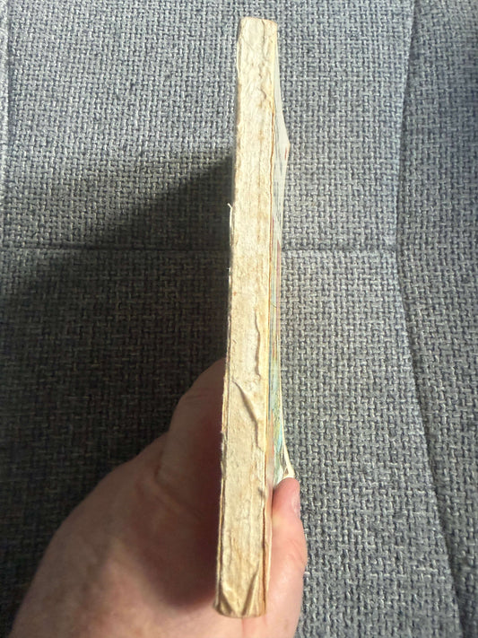 1985 The O’Sullivan Twins - Enid Blyton (Jenny Chapple illust) Dragon