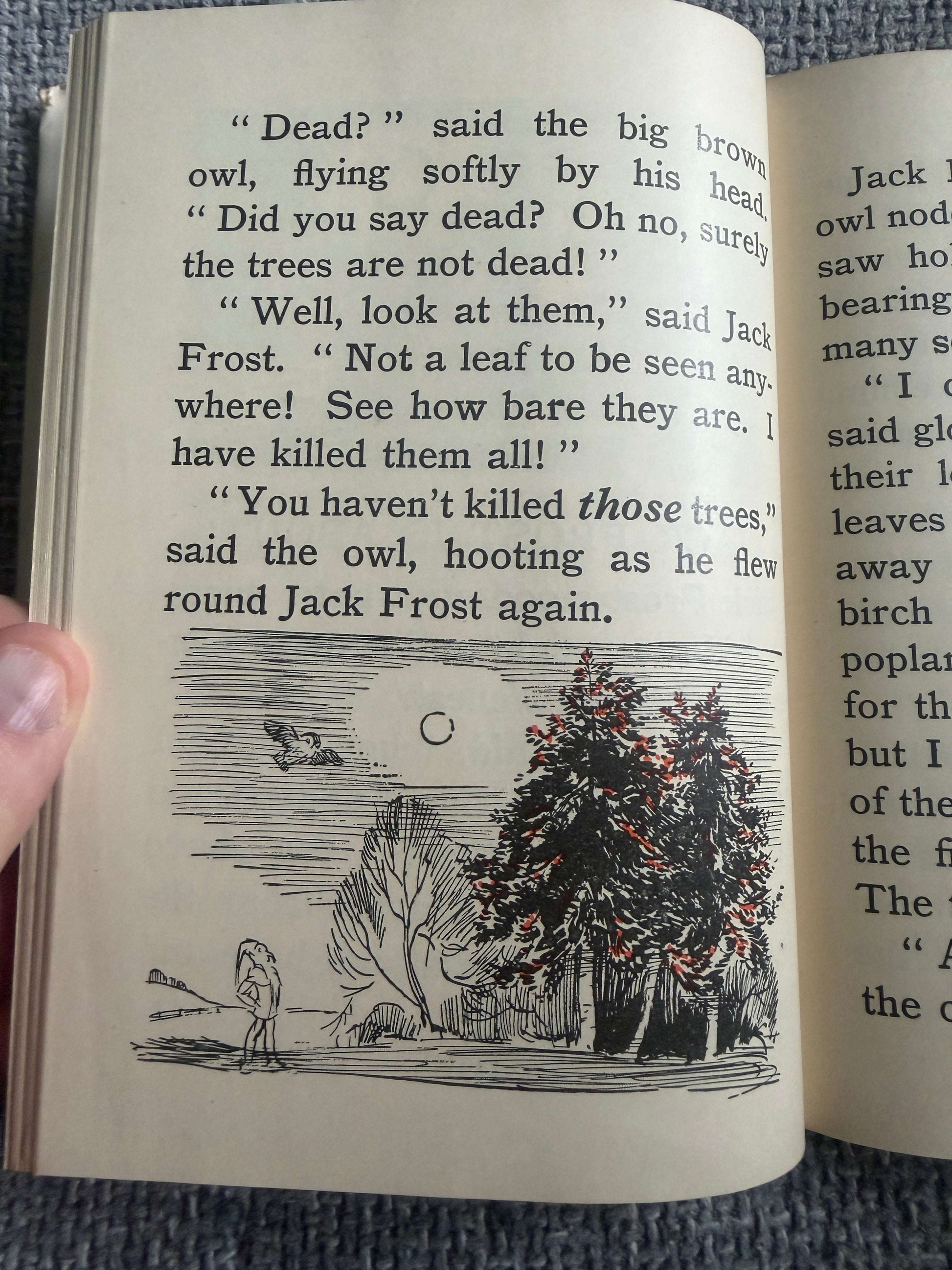 1953 The Brownie’s Magic (My First Nature Book) Enid Blyton (Eileen A. Soper illust) MacMillan & Co Ltd.
