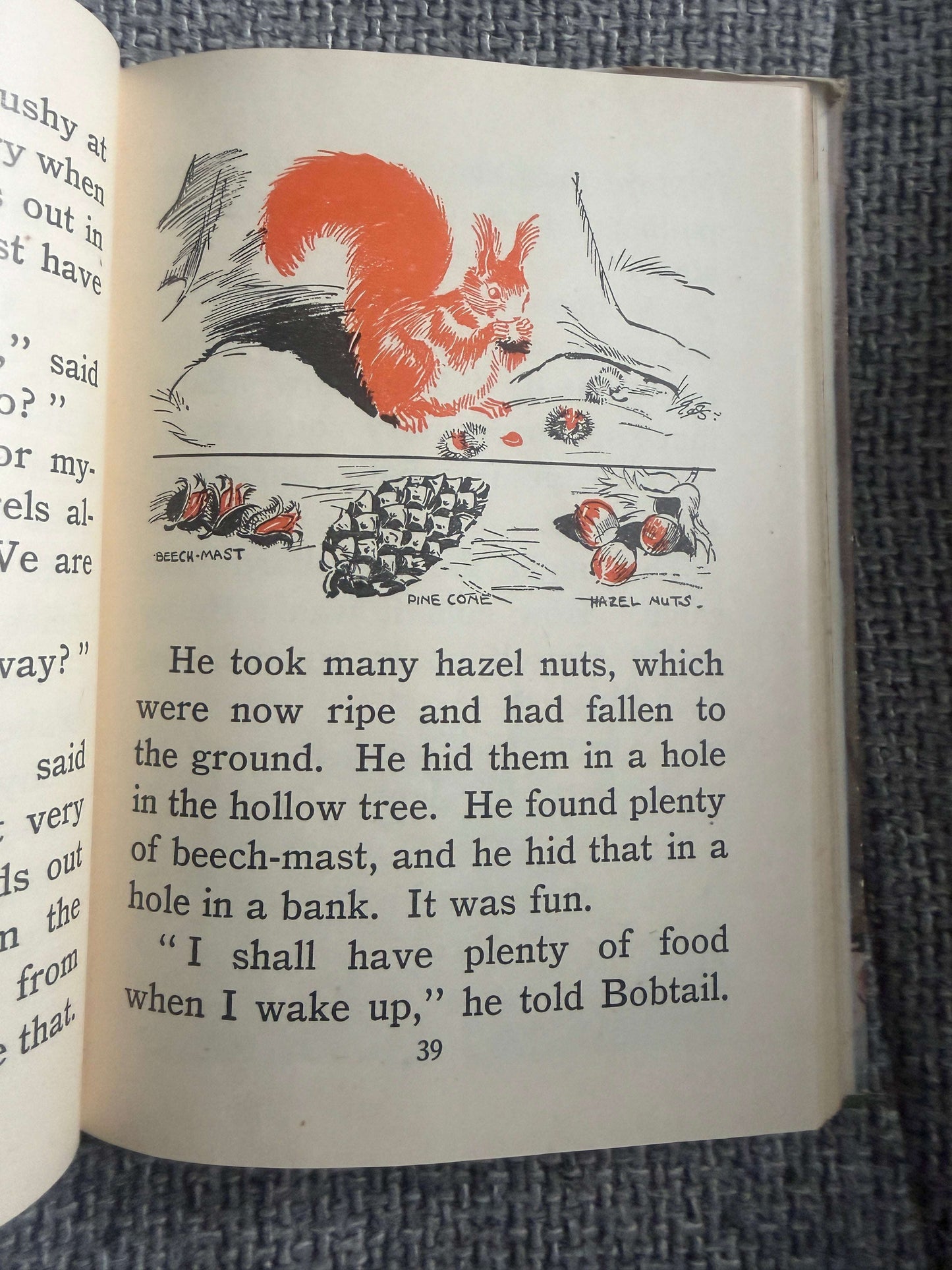 1953 The Brownie’s Magic (My First Nature Book) Enid Blyton (Eileen A. Soper illust) MacMillan & Co Ltd.
