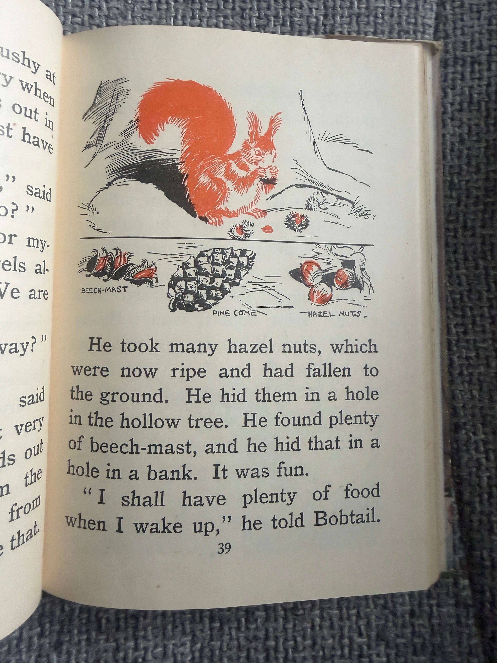 1953 The Brownie’s Magic (My First Nature Book) Enid Blyton (Eileen A. Soper illust) MacMillan & Co Ltd.