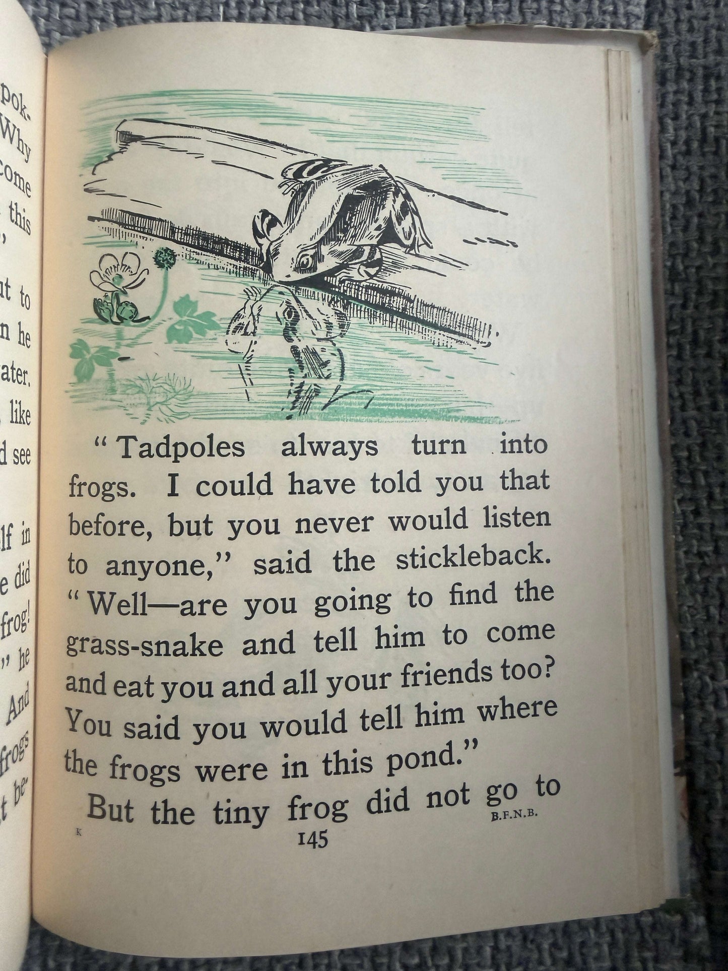 1953 The Brownie’s Magic (My First Nature Book) Enid Blyton (Eileen A. Soper illust) MacMillan & Co Ltd.