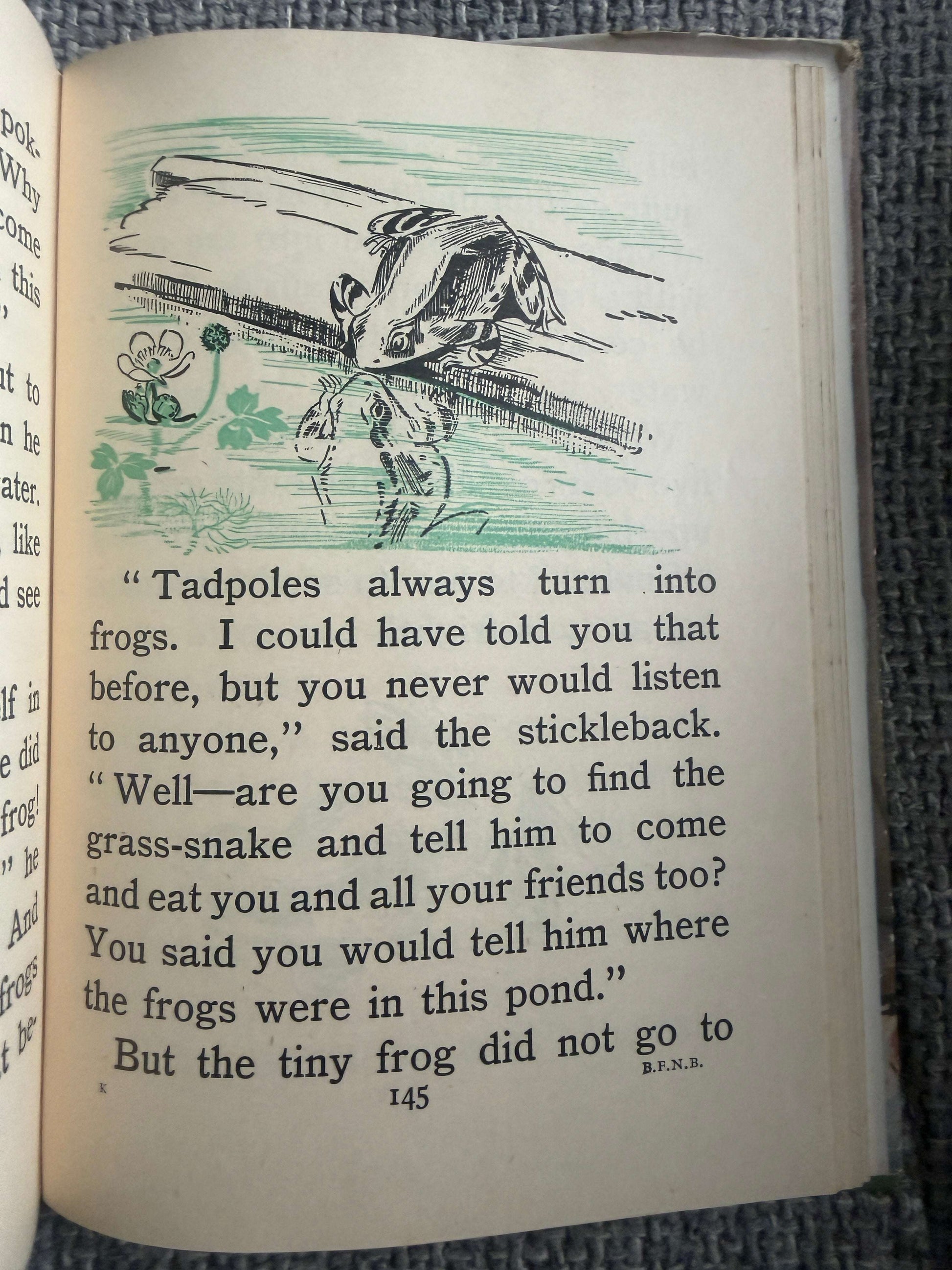 1953 The Brownie’s Magic (My First Nature Book) Enid Blyton (Eileen A. Soper illust) MacMillan & Co Ltd.