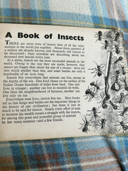 1940’s A Book Of Insects(Puffin Picture Book 5)Richard James(James Holland illustration)