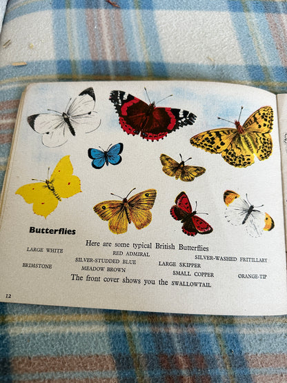 1940’s A Book Of Insects(Puffin Picture Book 5)Richard James(James Holland illustration)