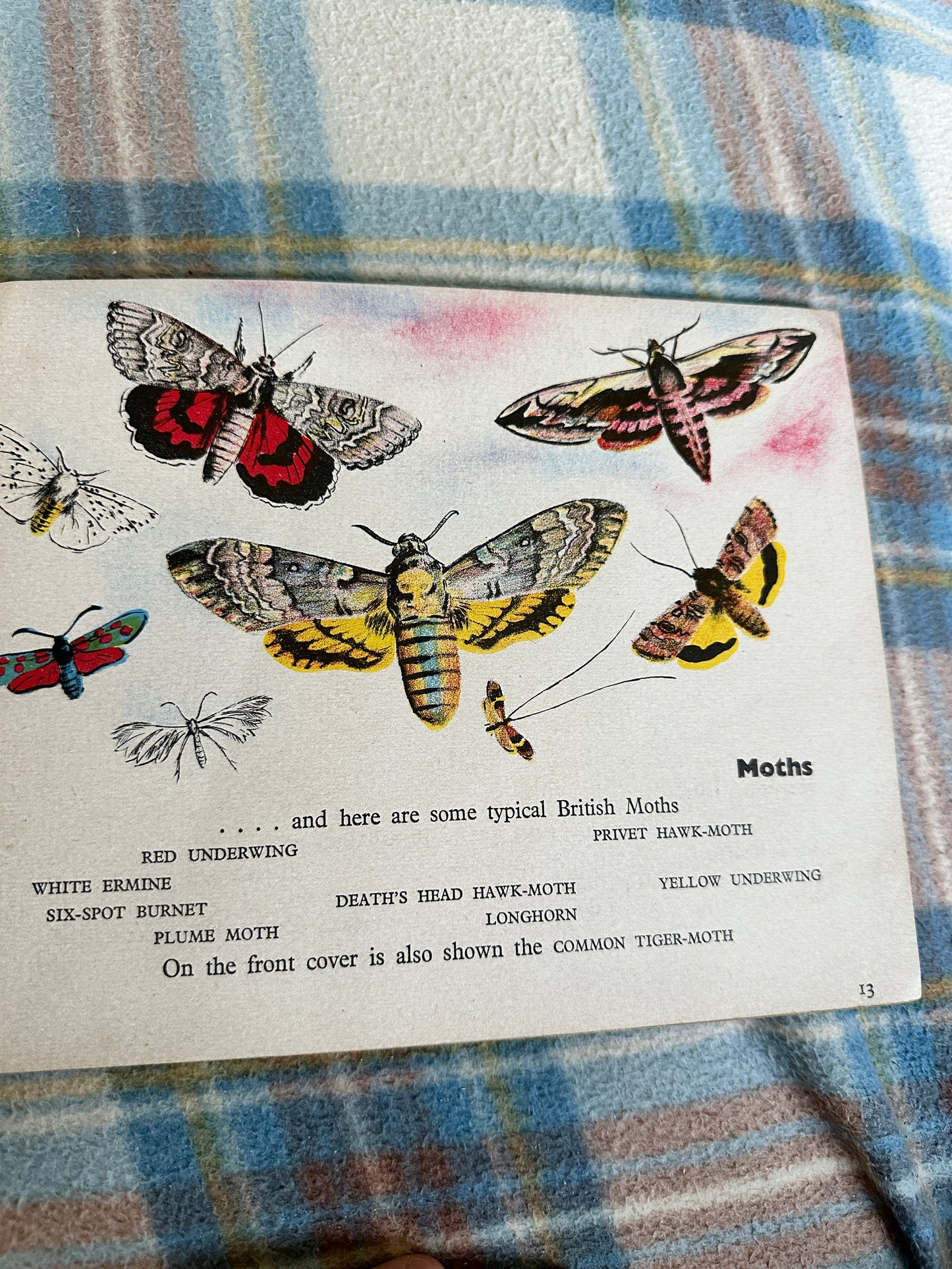 1940’s A Book Of Insects(Puffin Picture Book 5)Richard James(James Holland illustration)