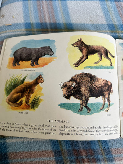 1950 Early Man(Puffin Picture Book 87)Dina Dobson(John Baynes  illustration)