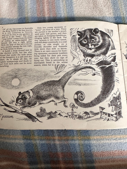 1947 Animals Of Australia(Puffin Picture Book 45)Sheila Hawkins(Puffin Picture Books)