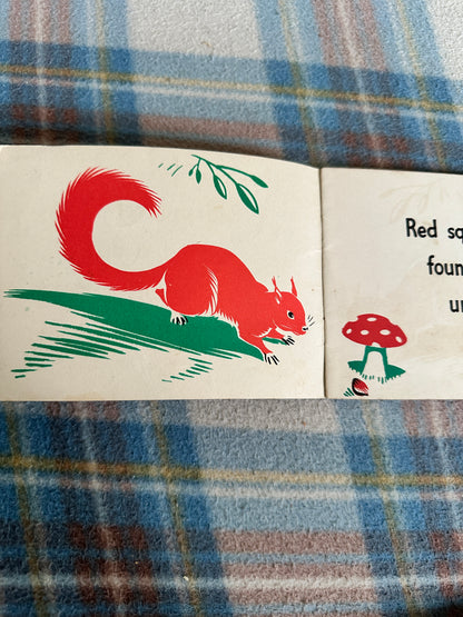 1953 Red Squirrel - Jenny Taylor(Oliver & Boyd)