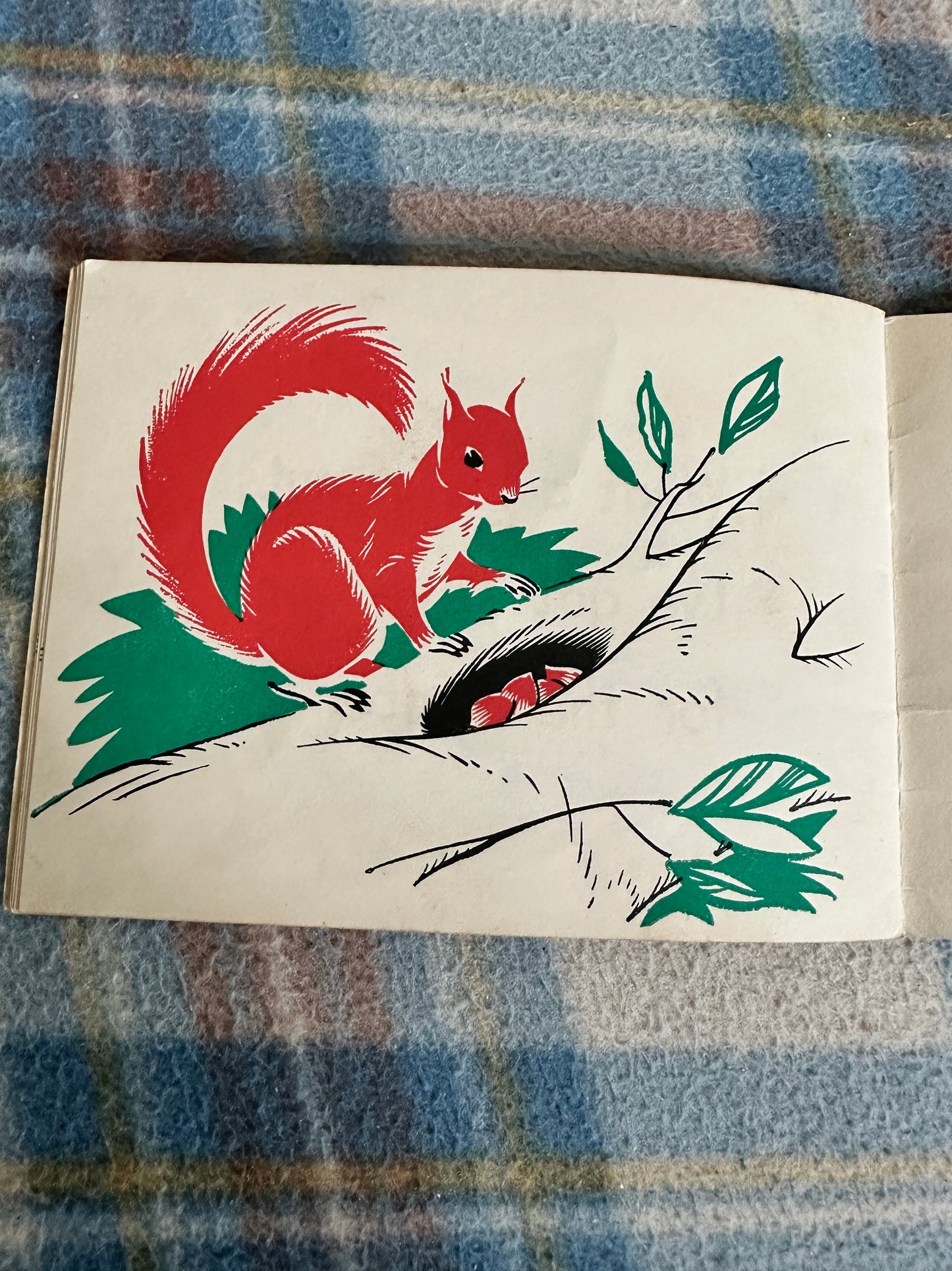 1953 Red Squirrel - Jenny Taylor(Oliver & Boyd)