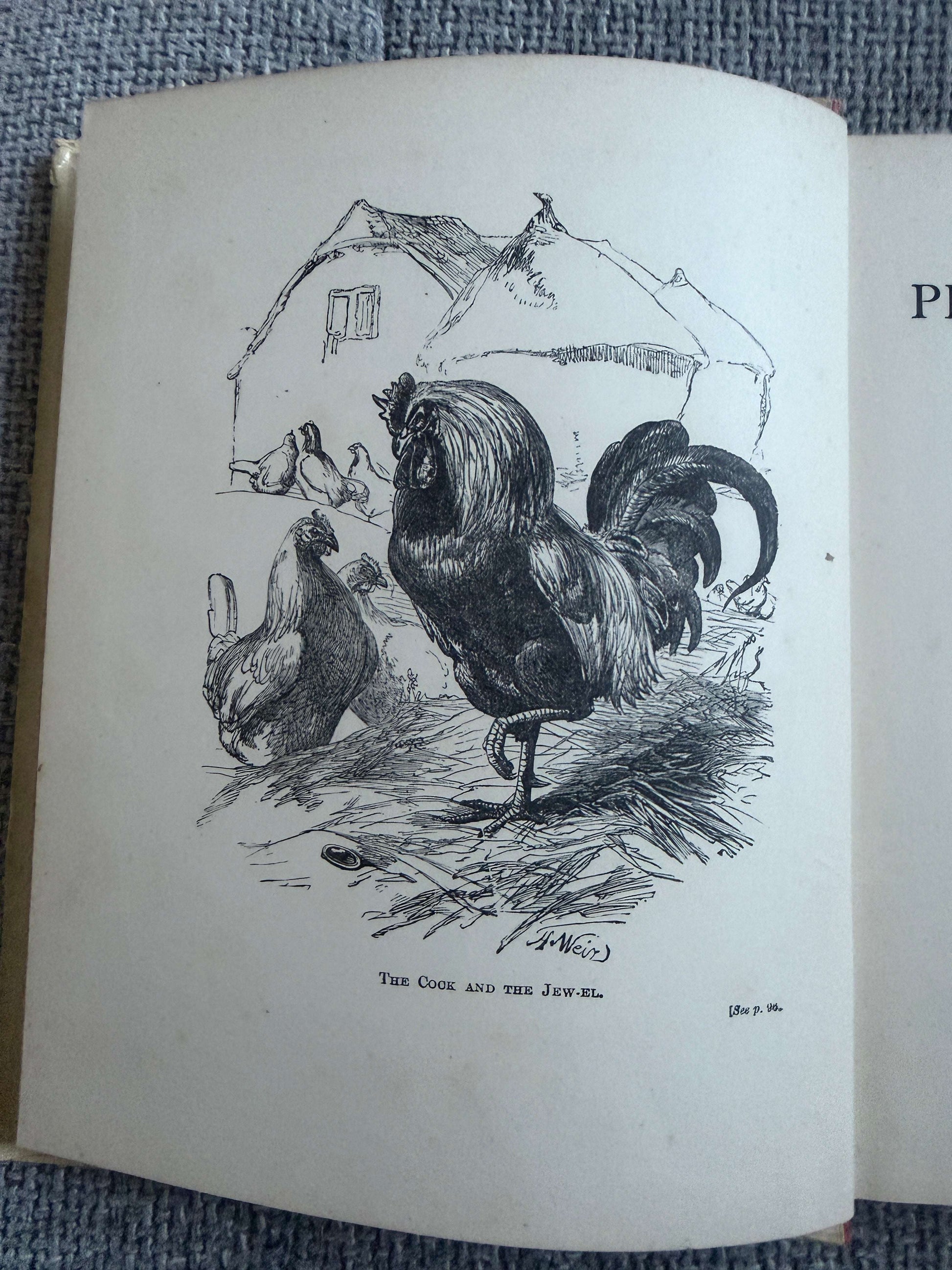 1894 The Child’s Picture Fable Book In Words Of One Syllable- Harrison Weir illust (George Routledge & Sons Ltd)