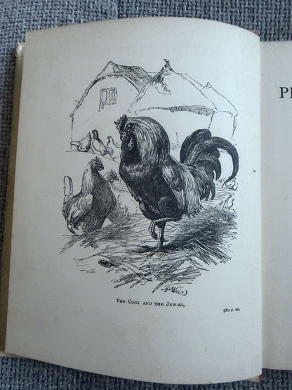 1894 The Child’s Picture Fable Book In Words Of One Syllable- Harrison Weir illust (George Routledge & Sons Ltd)