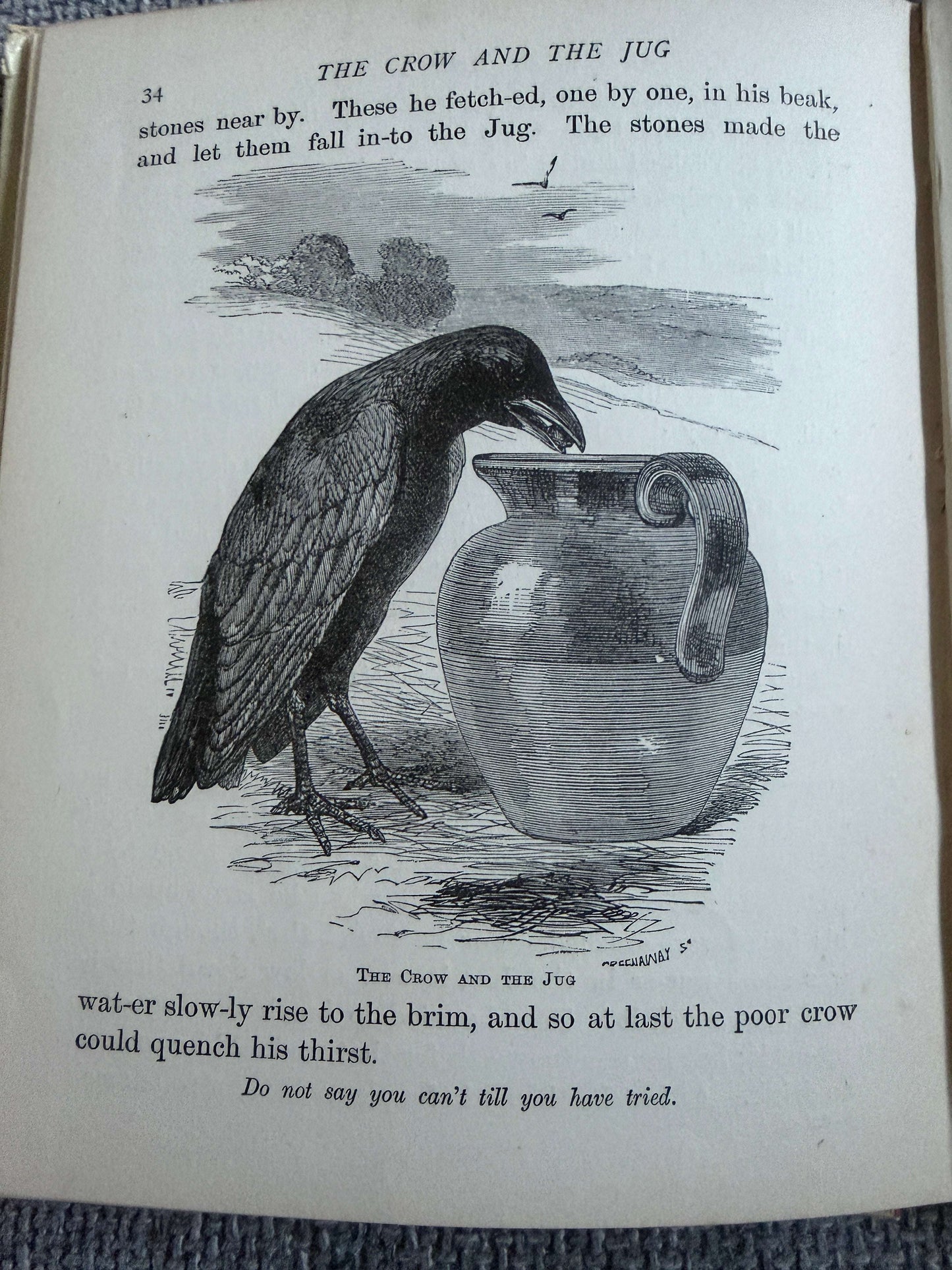 1894 The Child’s Picture Fable Book In Words Of One Syllable- Harrison Weir illust (George Routledge & Sons Ltd)