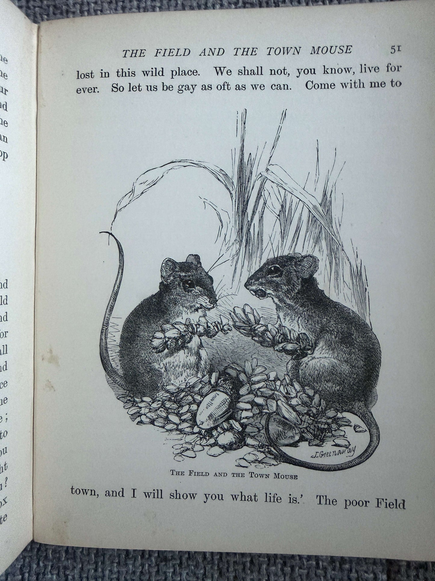 1894 The Child’s Picture Fable Book In Words Of One Syllable- Harrison Weir illust (George Routledge & Sons Ltd)