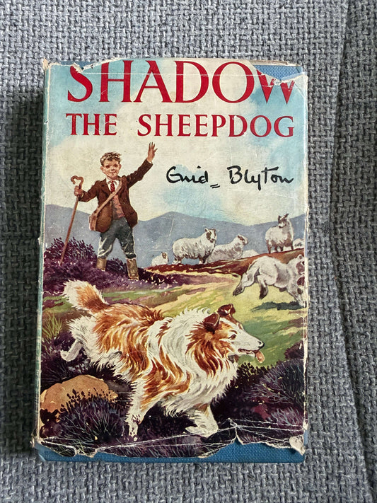 1955 Shadow The Sheep-Dog - Enid Blyton (G. W. Backhouse illust) Collins