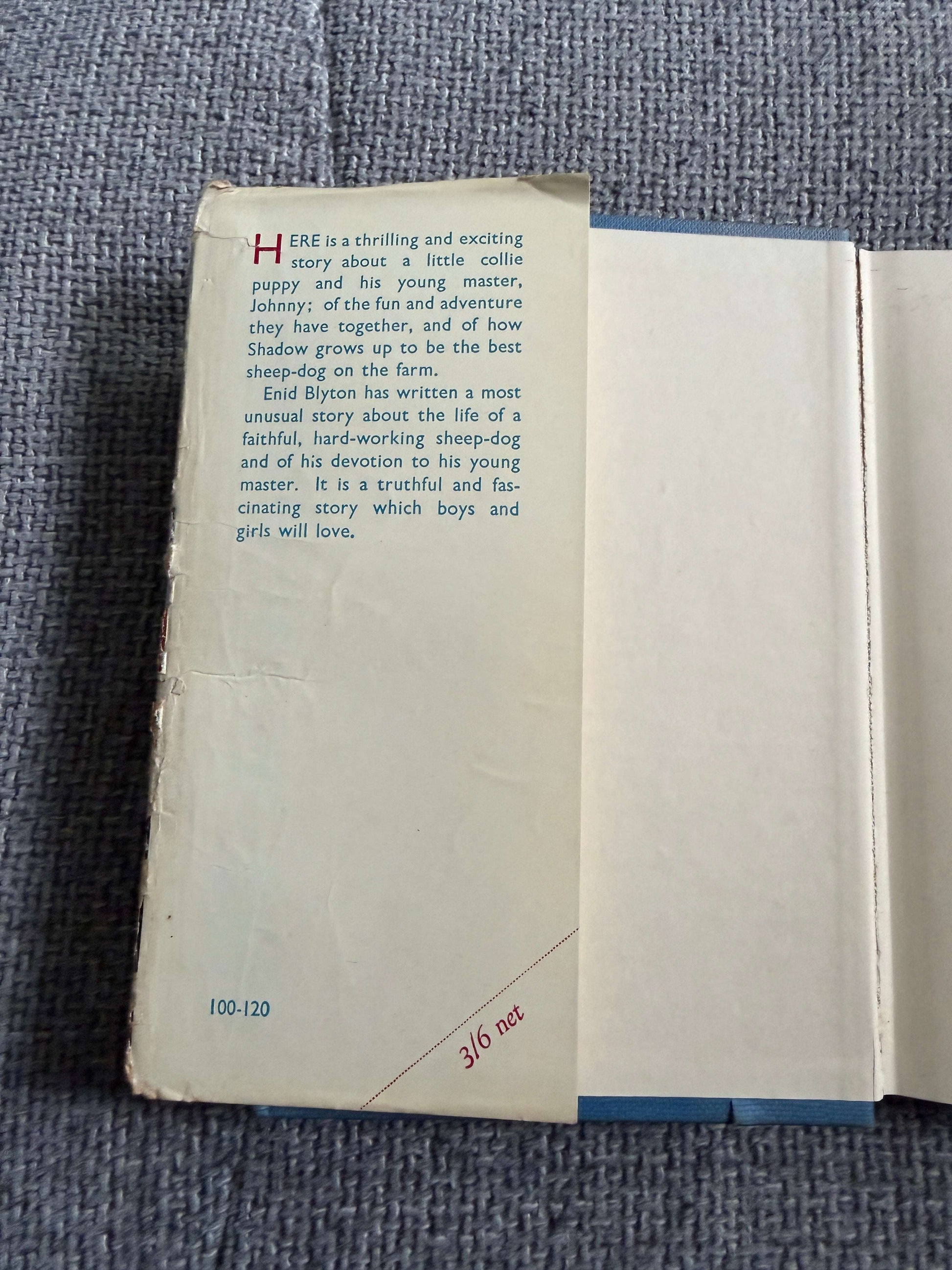 1955 Shadow The Sheep-Dog - Enid Blyton (G. W. Backhouse illust) Collins
