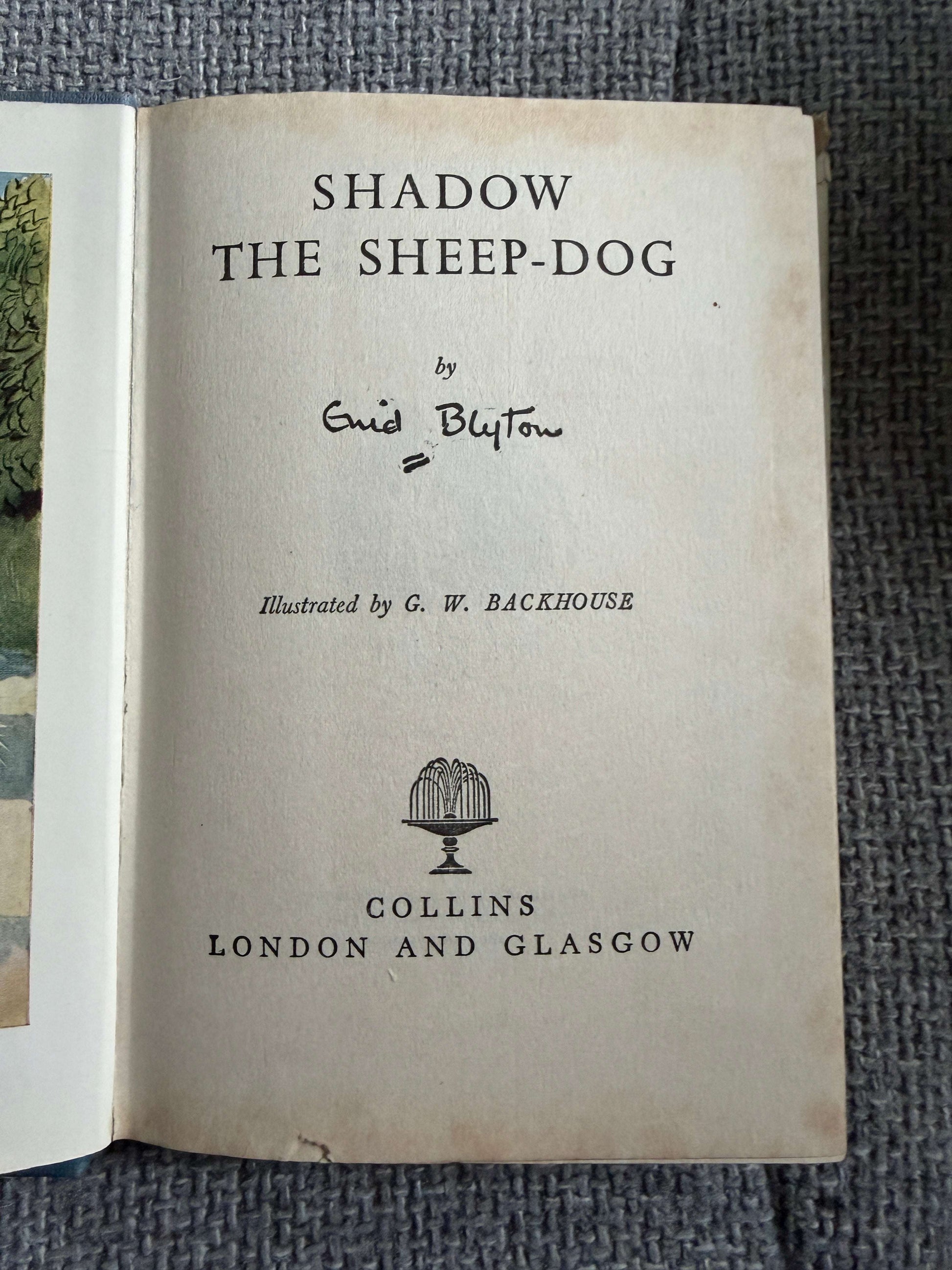 1955 Shadow The Sheep-Dog - Enid Blyton (G. W. Backhouse illust) Collins