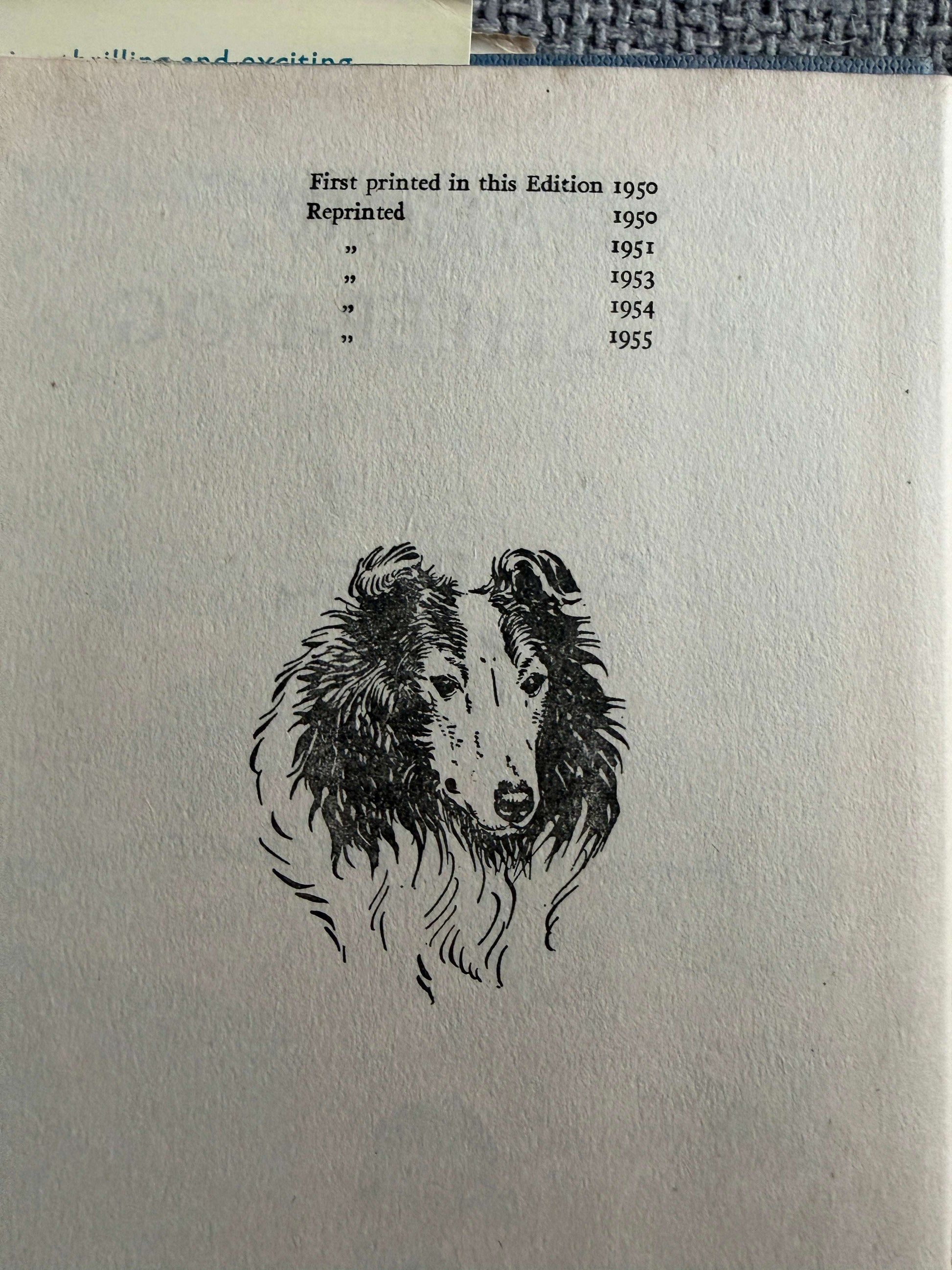 1955 Shadow The Sheep-Dog - Enid Blyton (G. W. Backhouse illust) Collins