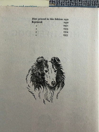 1955 Shadow The Sheep-Dog - Enid Blyton (G. W. Backhouse illust) Collins