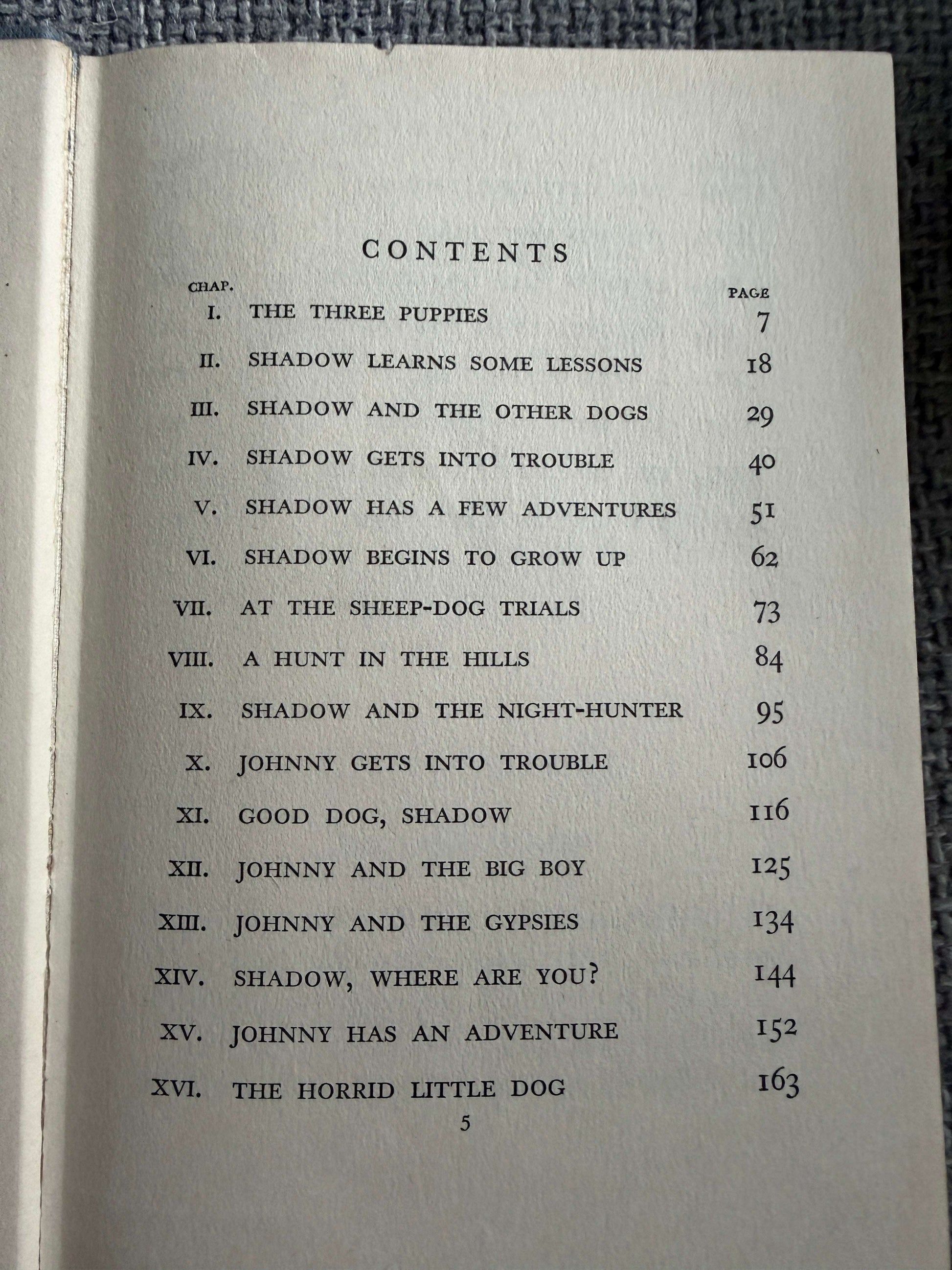 1955 Shadow The Sheep-Dog - Enid Blyton (G. W. Backhouse illust) Collins
