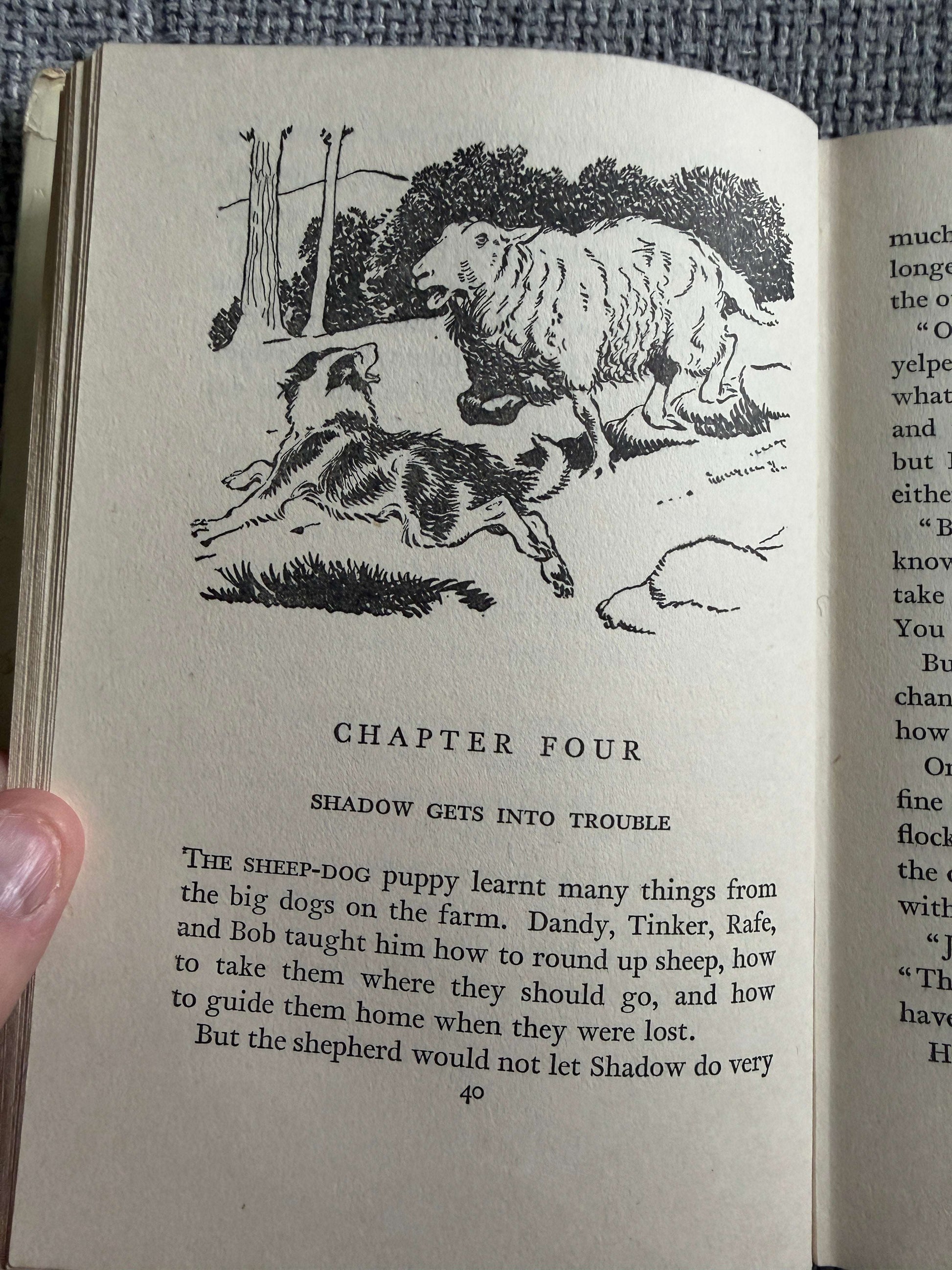 1955 Shadow The Sheep-Dog - Enid Blyton (G. W. Backhouse illust) Collins