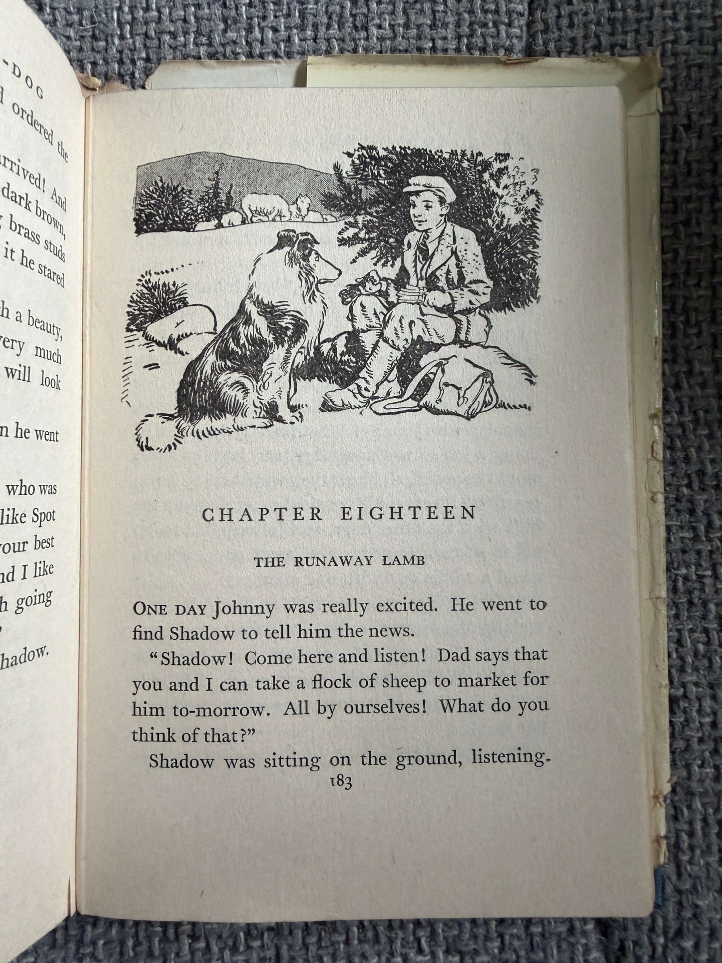 1955 Shadow The Sheep-Dog - Enid Blyton (G. W. Backhouse illust) Collins