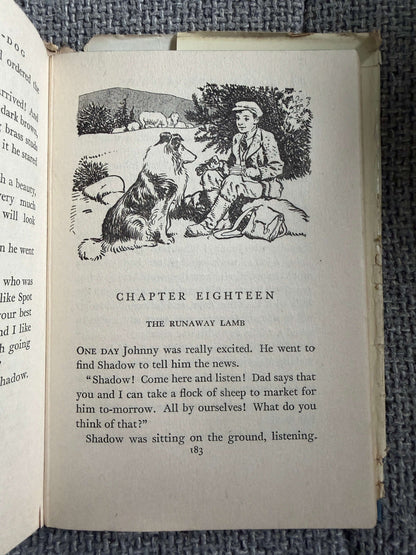 1955 Shadow The Sheep-Dog - Enid Blyton (G. W. Backhouse illust) Collins