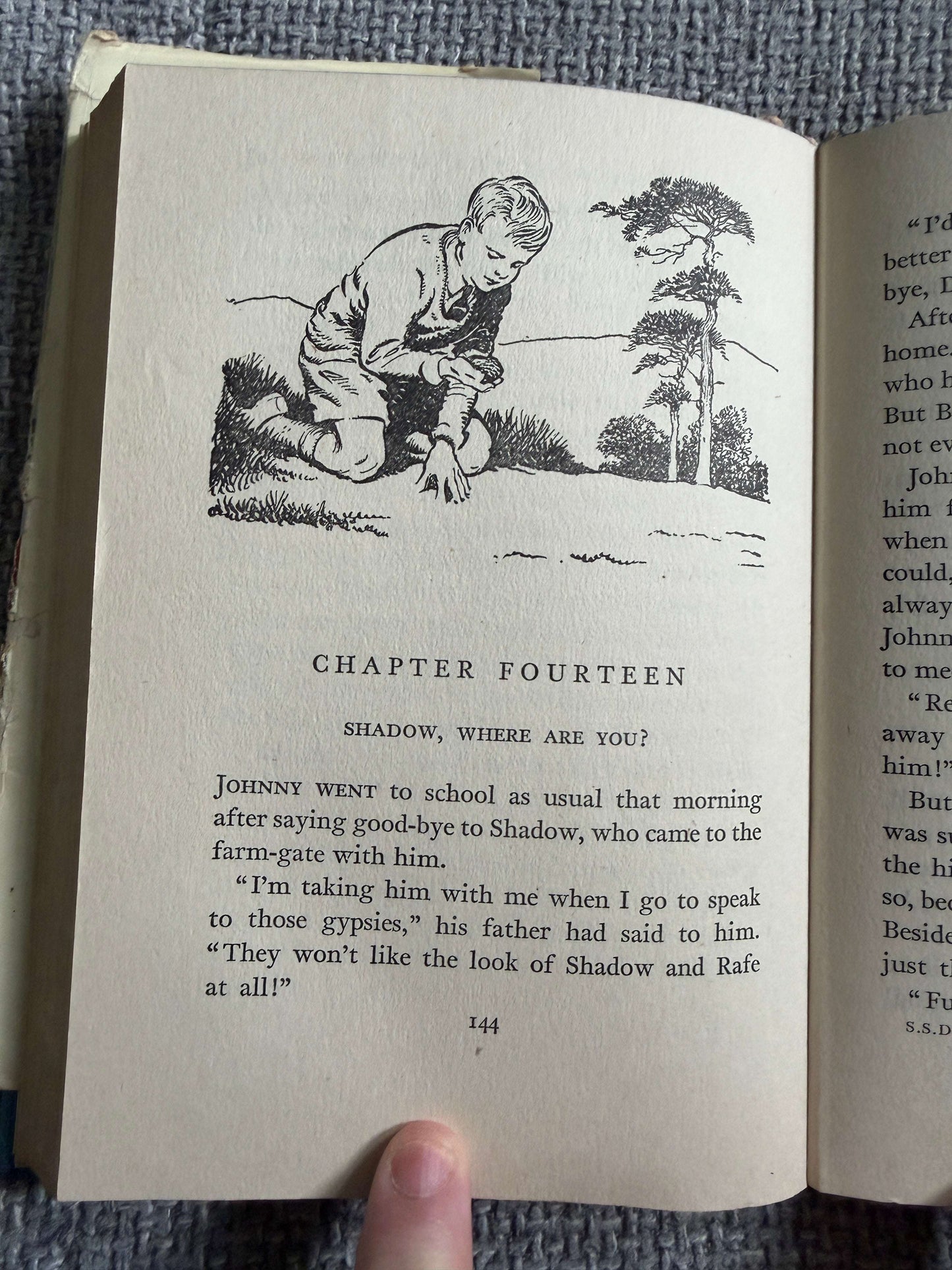 1955 Shadow The Sheep-Dog - Enid Blyton (G. W. Backhouse illust) Collins