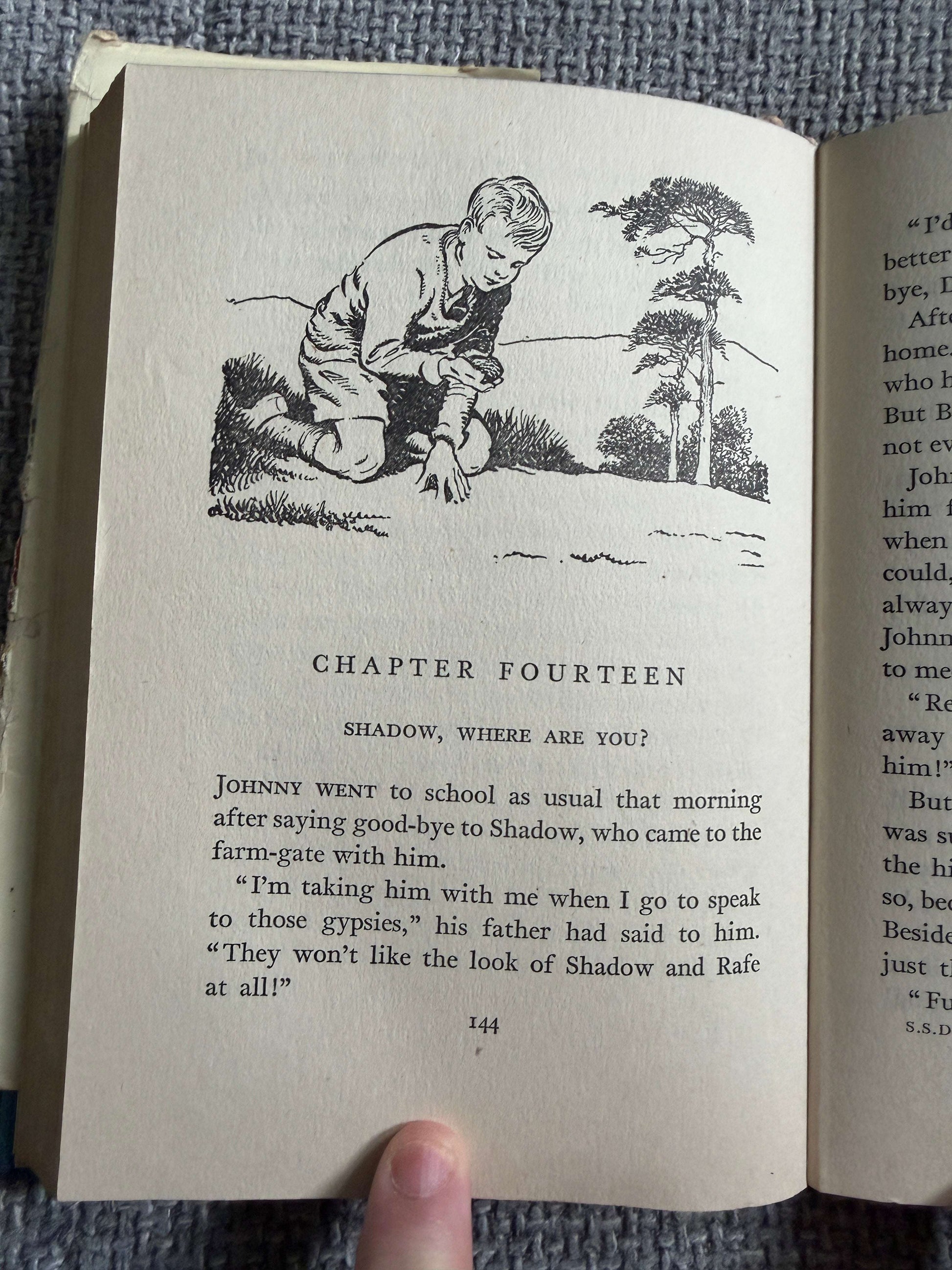 1955 Shadow The Sheep-Dog - Enid Blyton (G. W. Backhouse illust) Collins