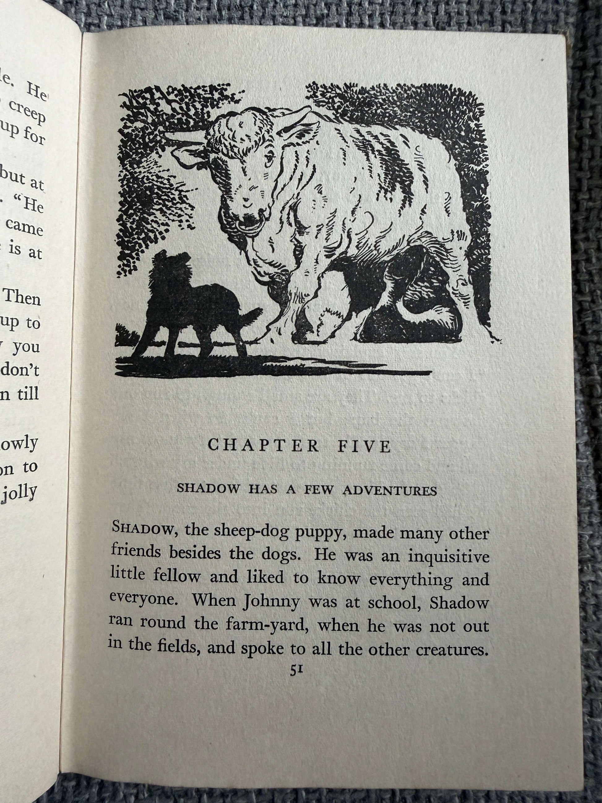 1955 Shadow The Sheep-Dog - Enid Blyton (G. W. Backhouse illust) Collins