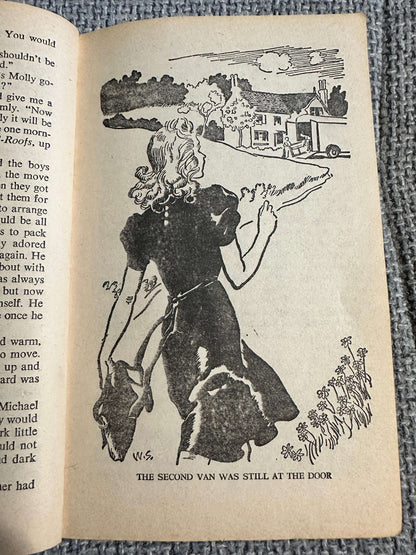 1967 The Family At Red Roofs - Enid Blyton (Armada)