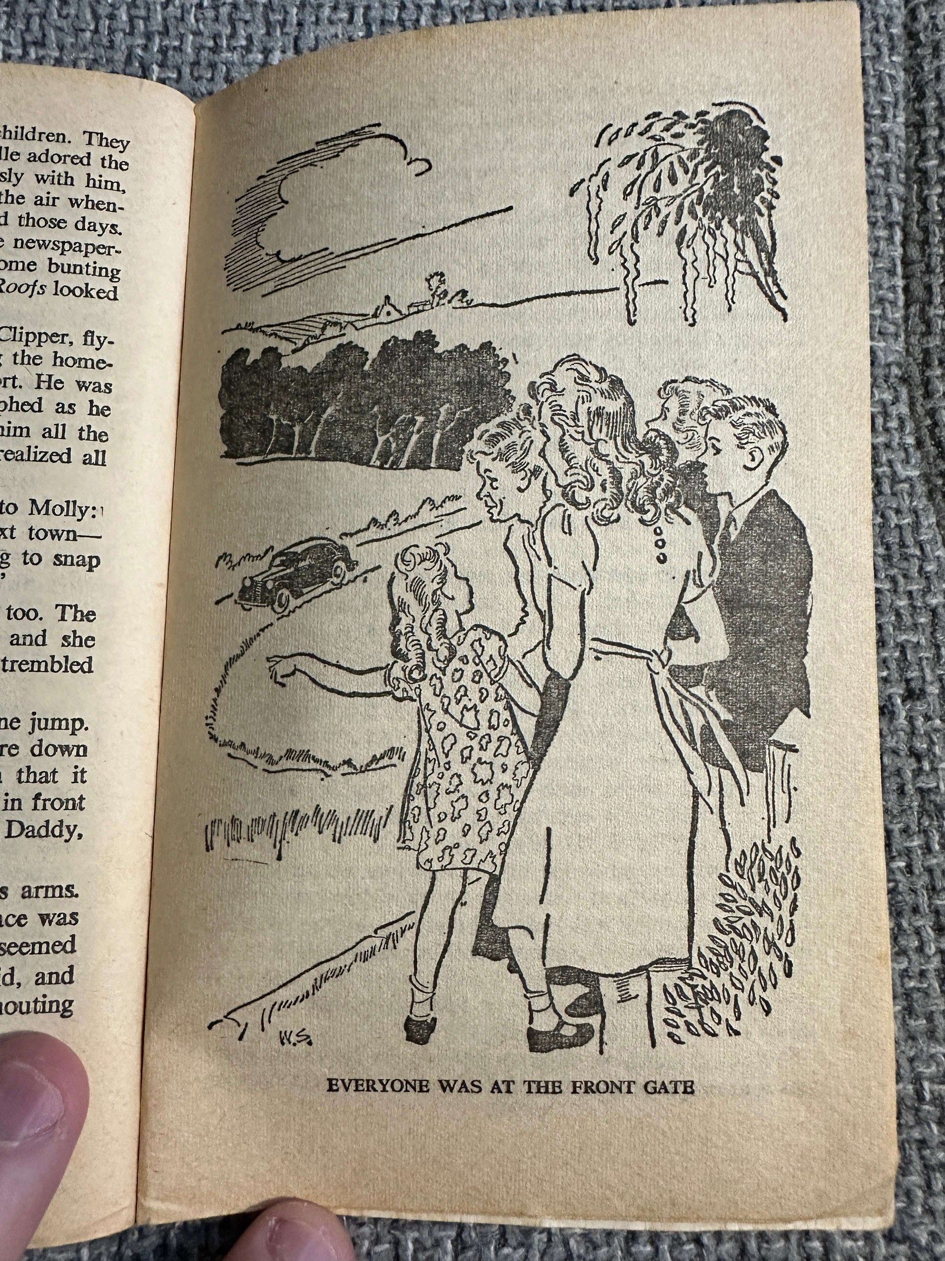 1967 The Family At Red Roofs - Enid Blyton (Armada)