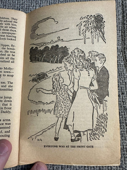 1967 The Family At Red Roofs - Enid Blyton (Armada)