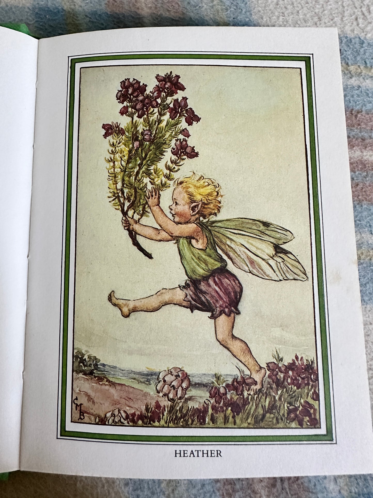 1989 Flower Fairies Of The Summer - Cicely Mary Barker(Blackie)