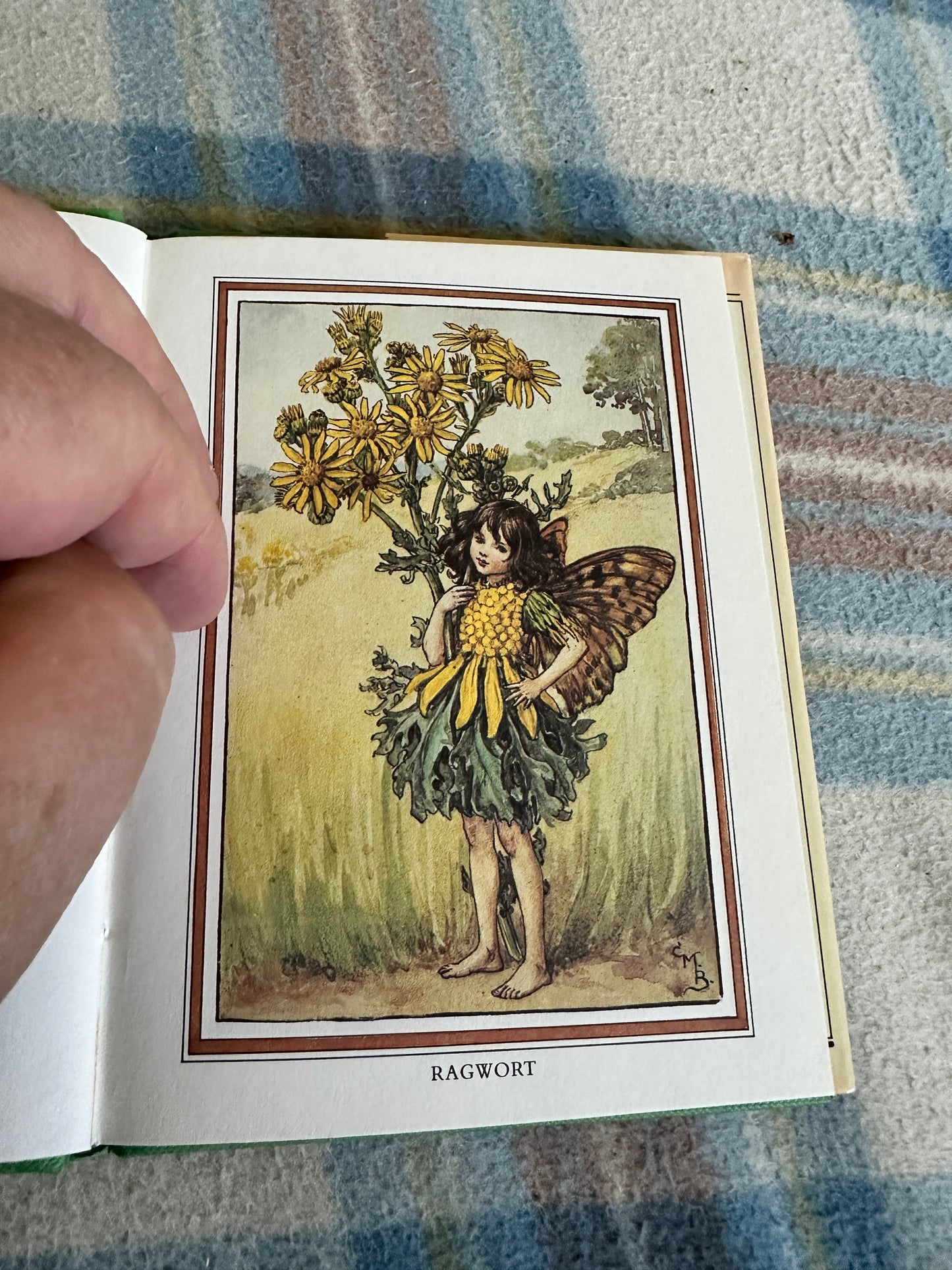 1989 Flower Fairies Of The Summer - Cicely Mary Barker(Blackie)