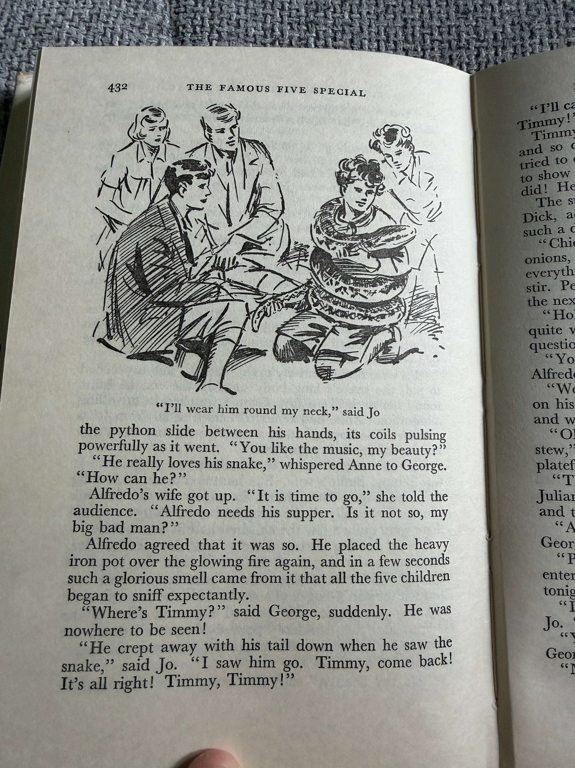 1966 The Famous Five Special - Enid Blyton (Eileen Soper illust) Brockhampton Press