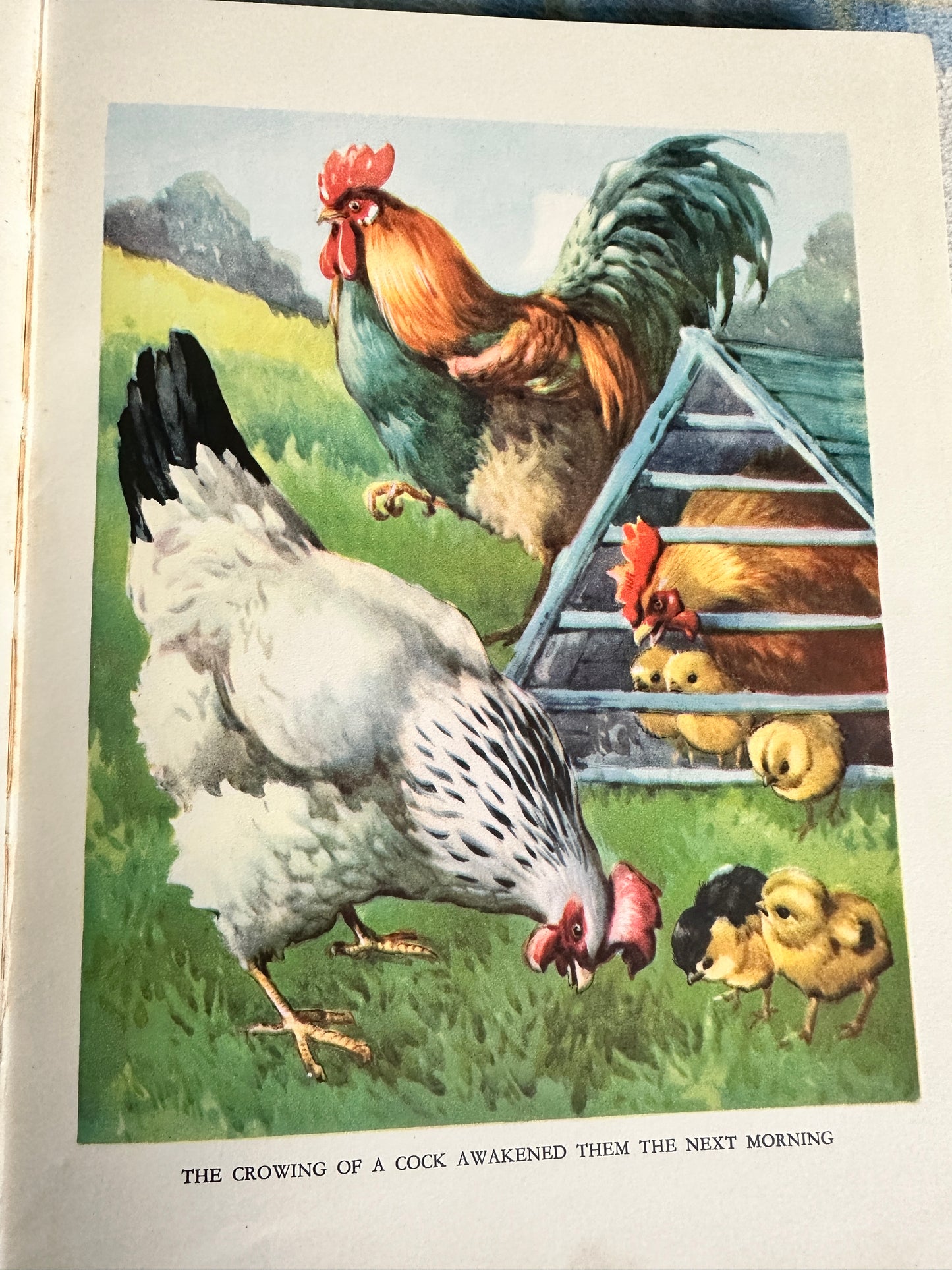 1950’s Farmyard Friends - Arthur Groom(A.E. Kennedy Illust)Birn Brothers Ltd.