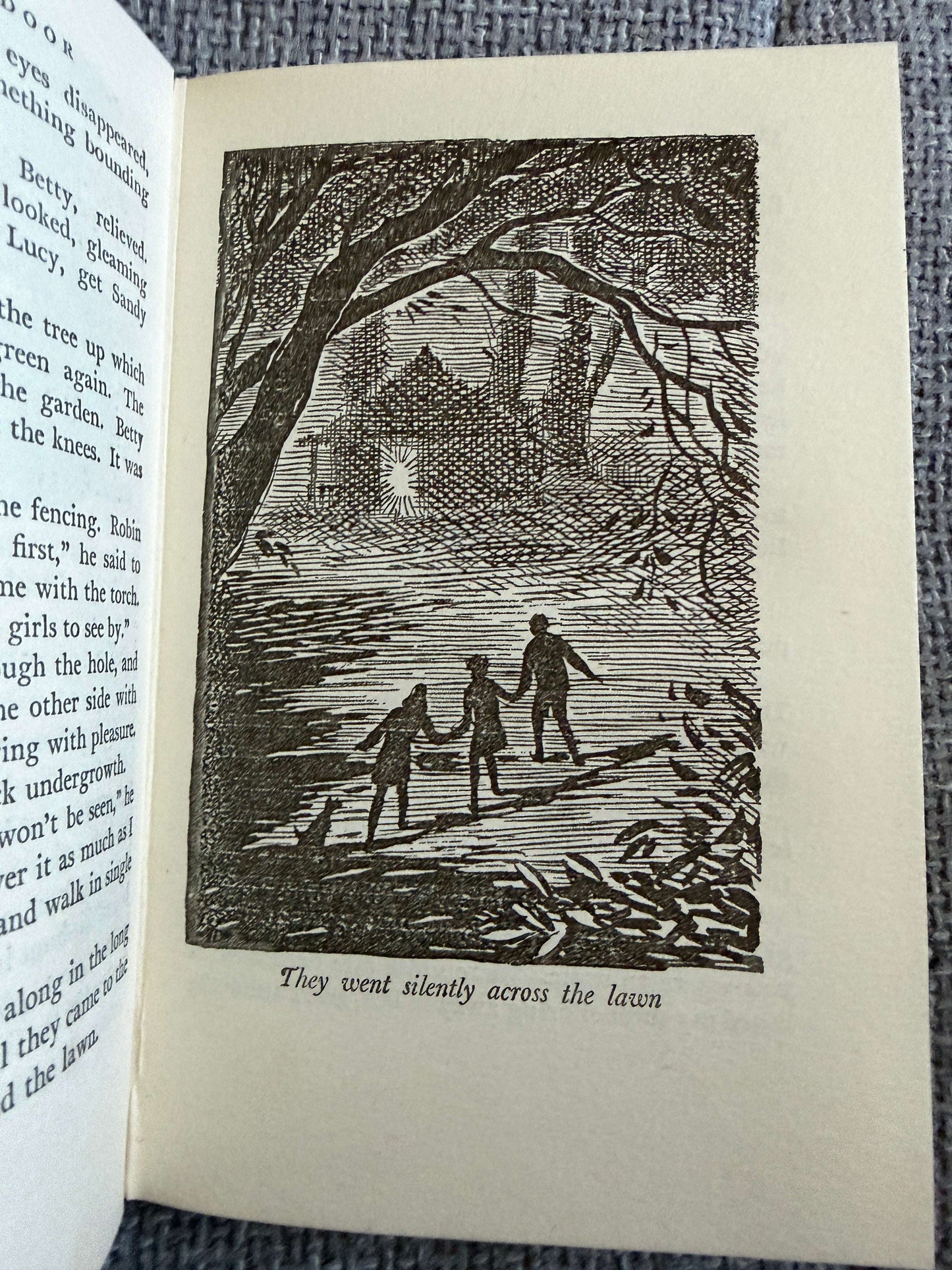 1956 The Boy Next Door - Enid Blyton (Gilbert Dunlop illust) Collins Seagull Library.